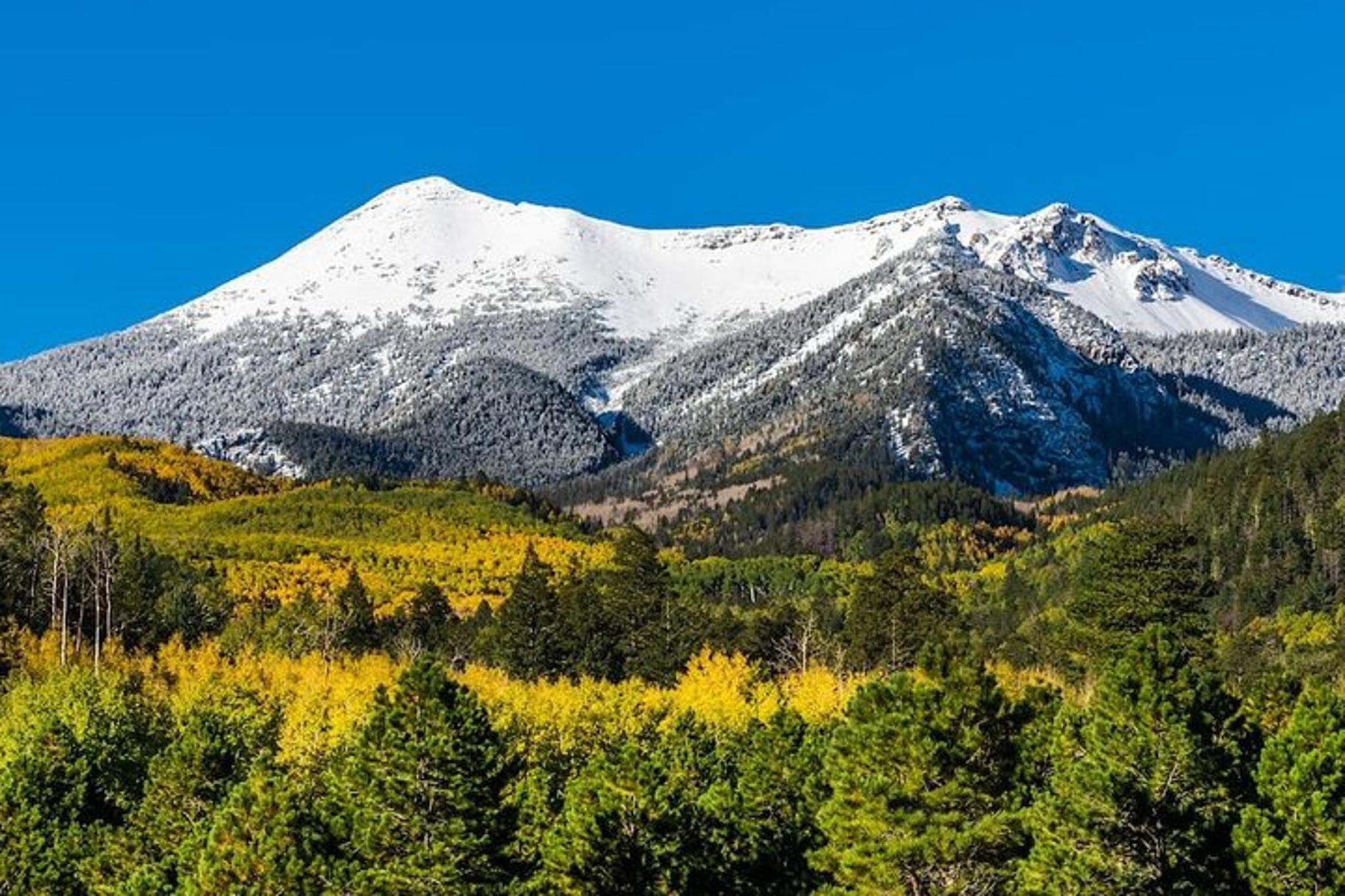 Flagstaff Day Tour from Phoenix - Image 4