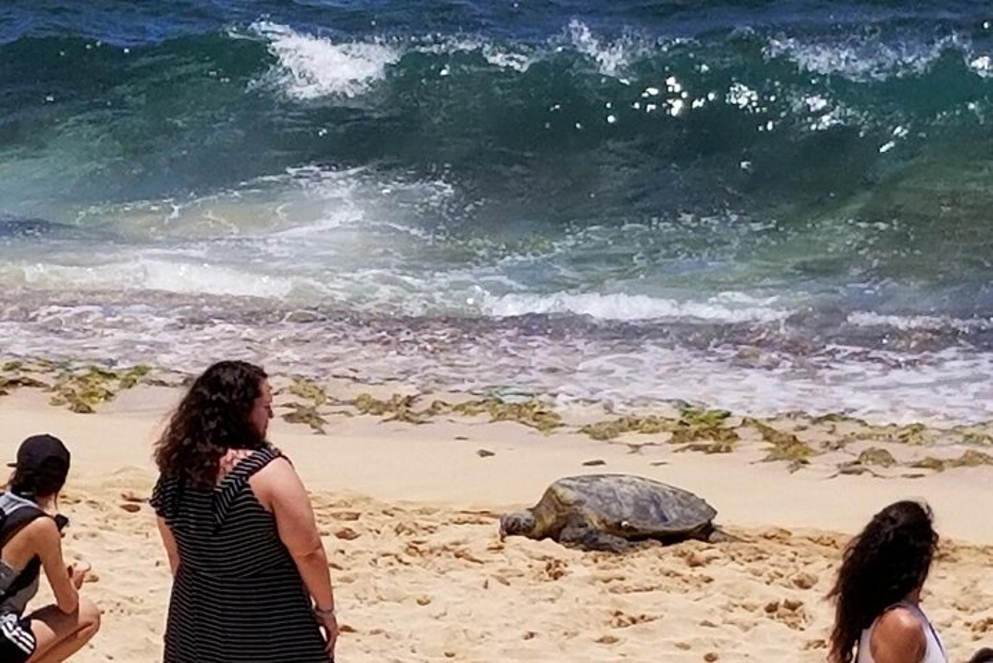 Honolulu Private Grand Circle Island Tour - Image 1