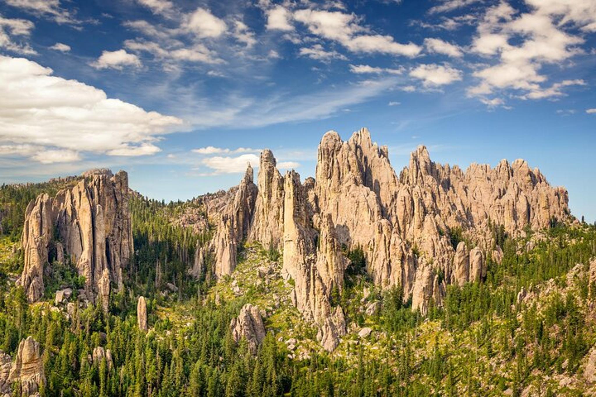 Rapid City Private Tour of Mt Rushmore and Custer State Park - Image 2
