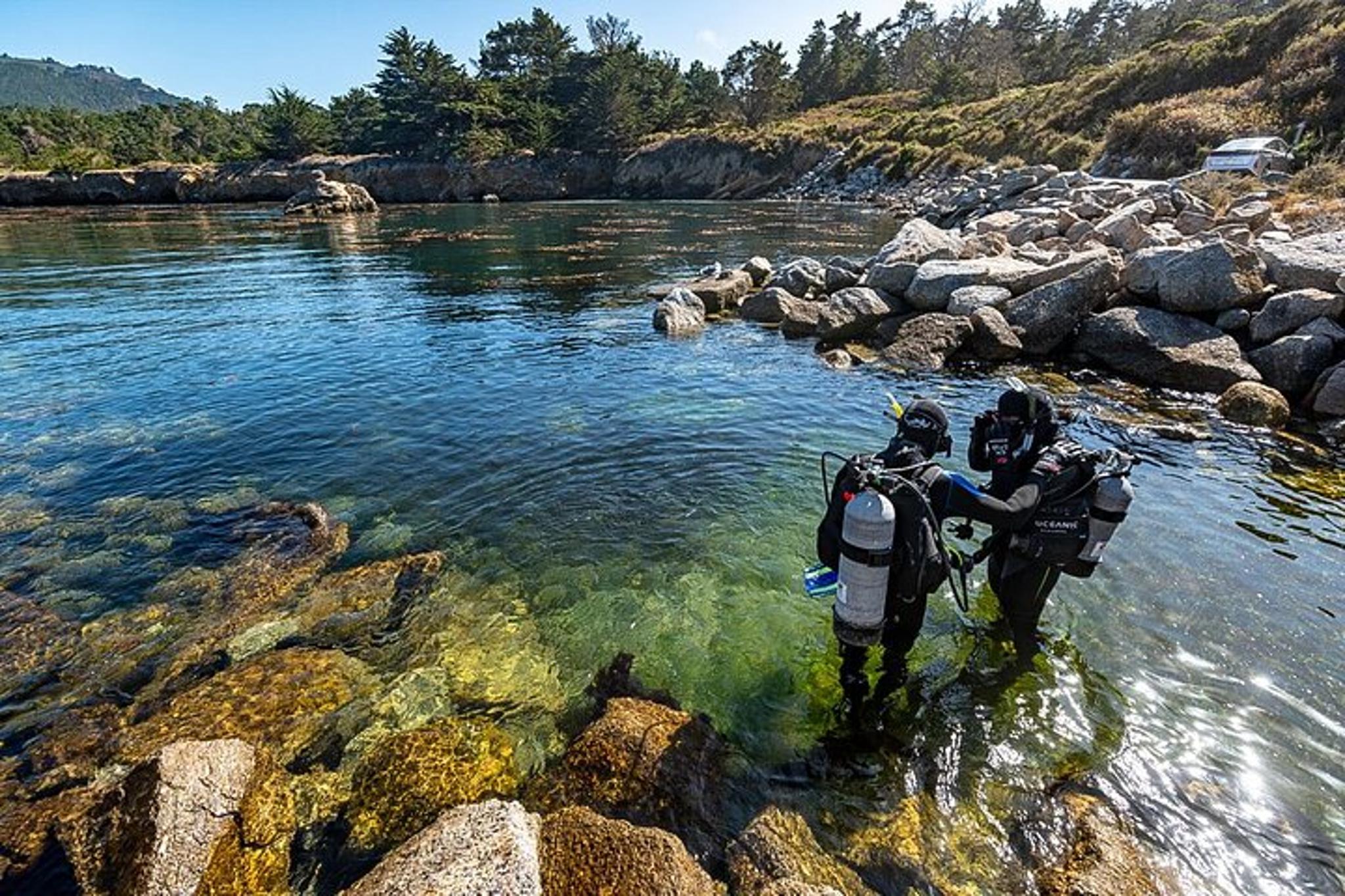 Point Lobos Self-Guided App Tour - Image 6