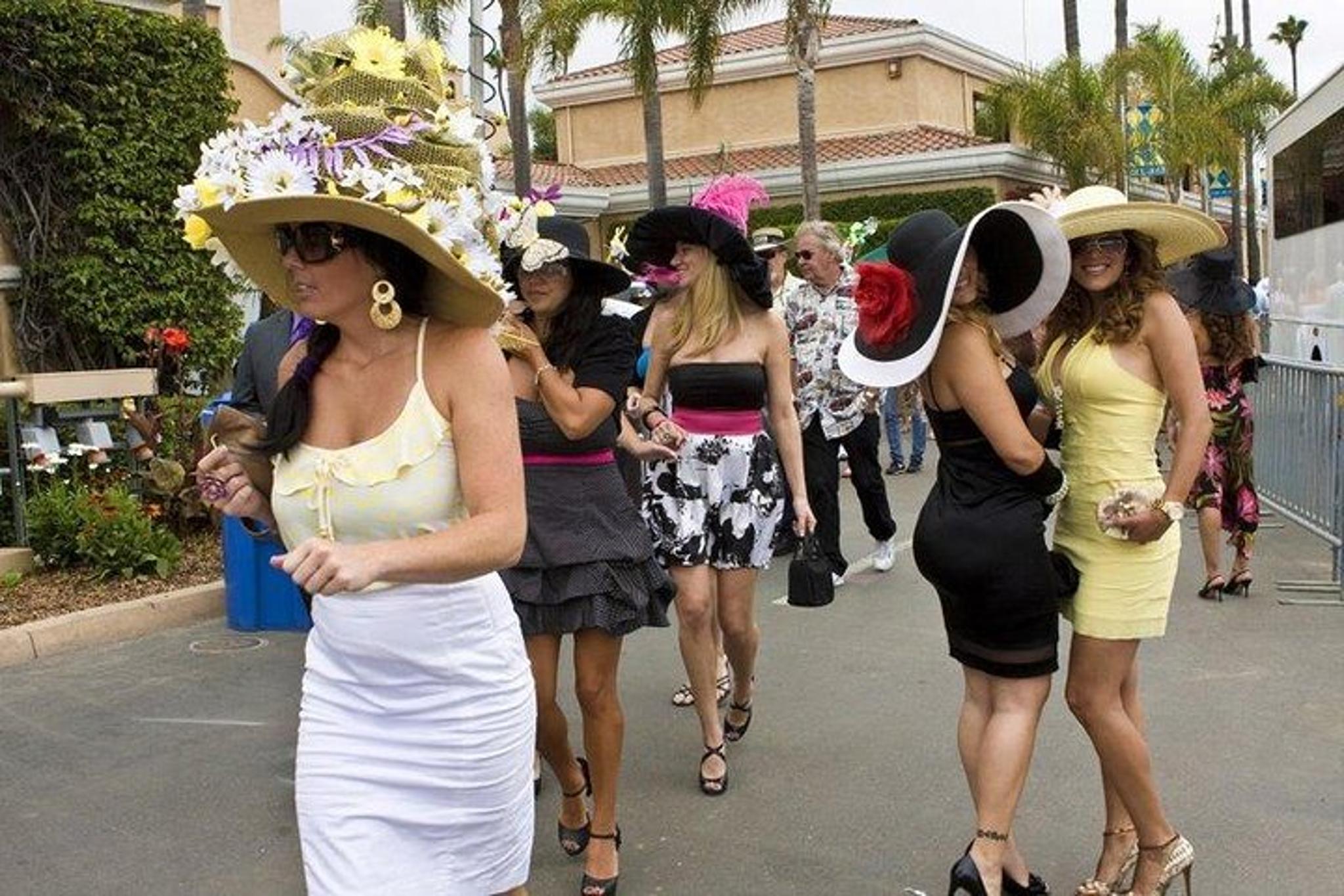 Carlsbad Legoland Private Transfer from Orange County - Image 3