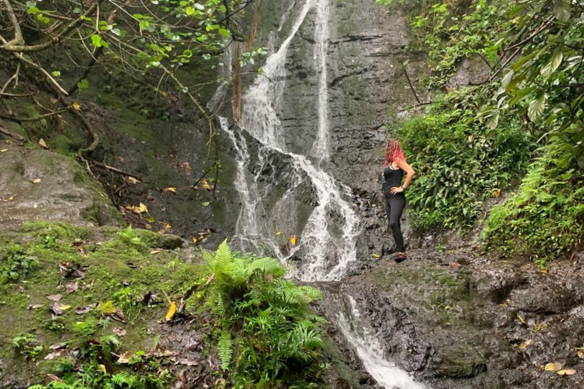 Oahu Hidden Waterfalls and Beaches Tour - Image 5