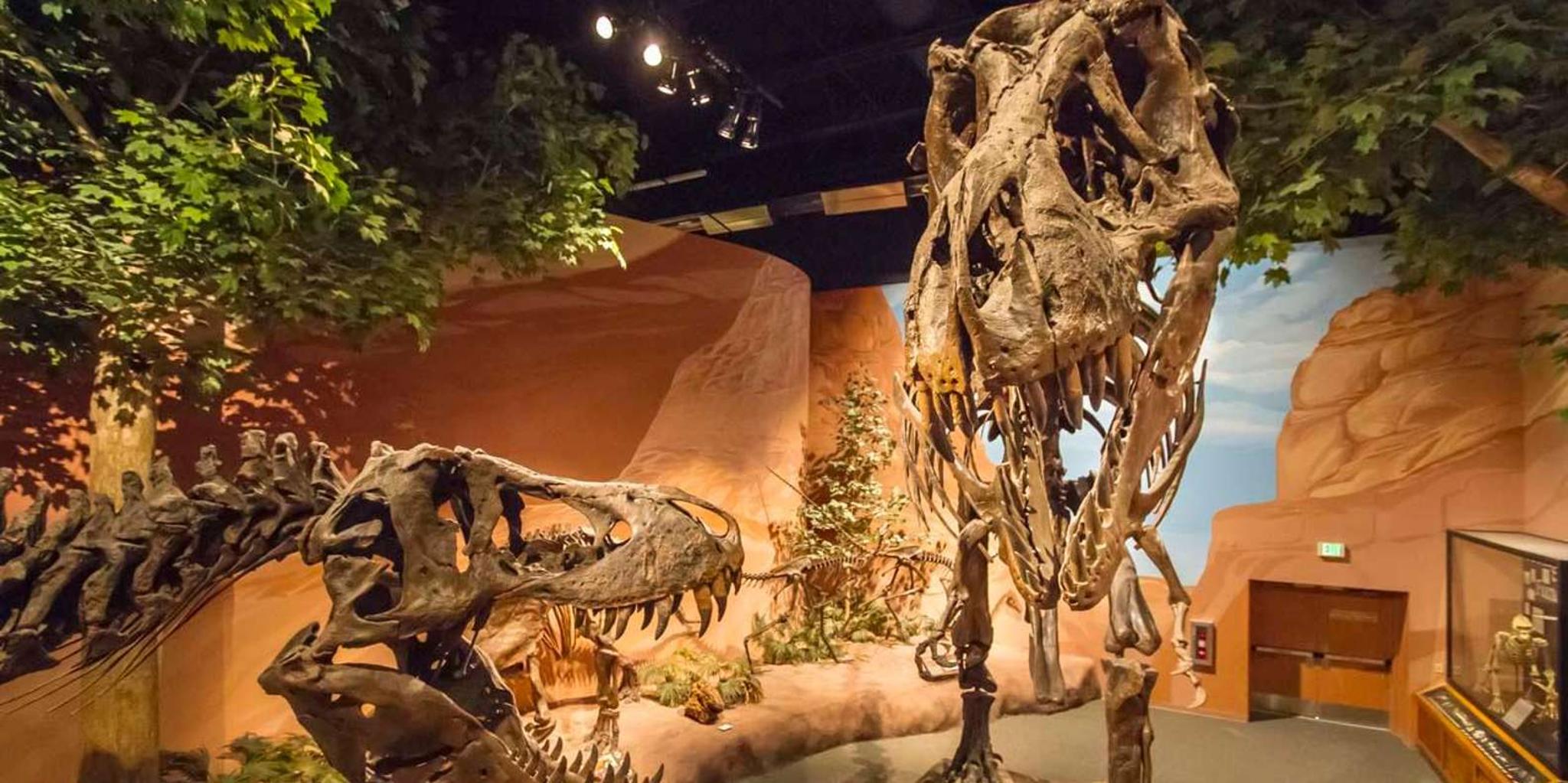 Salt Lake City Family Attractions Pass - Image 4