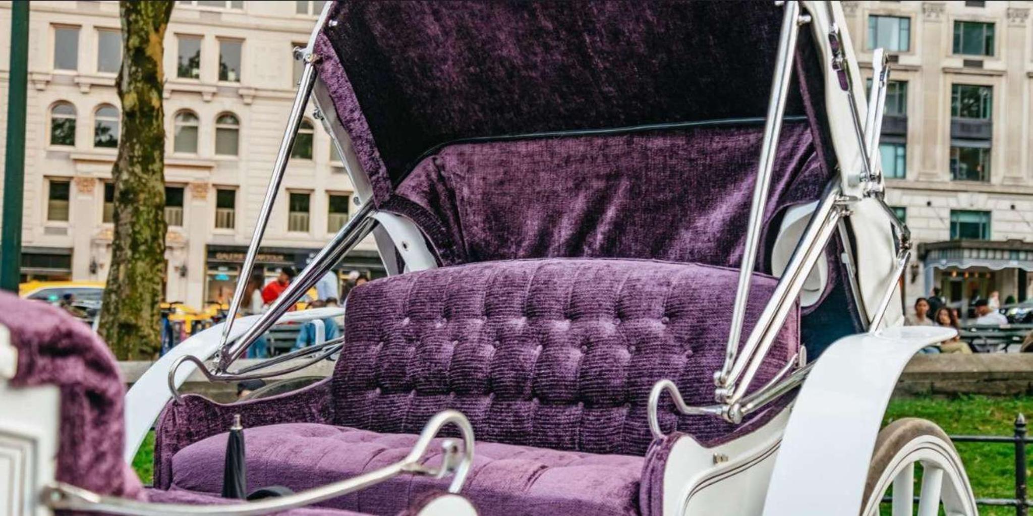 New York Holiday Lights Horse Carriage Ride - Image 3