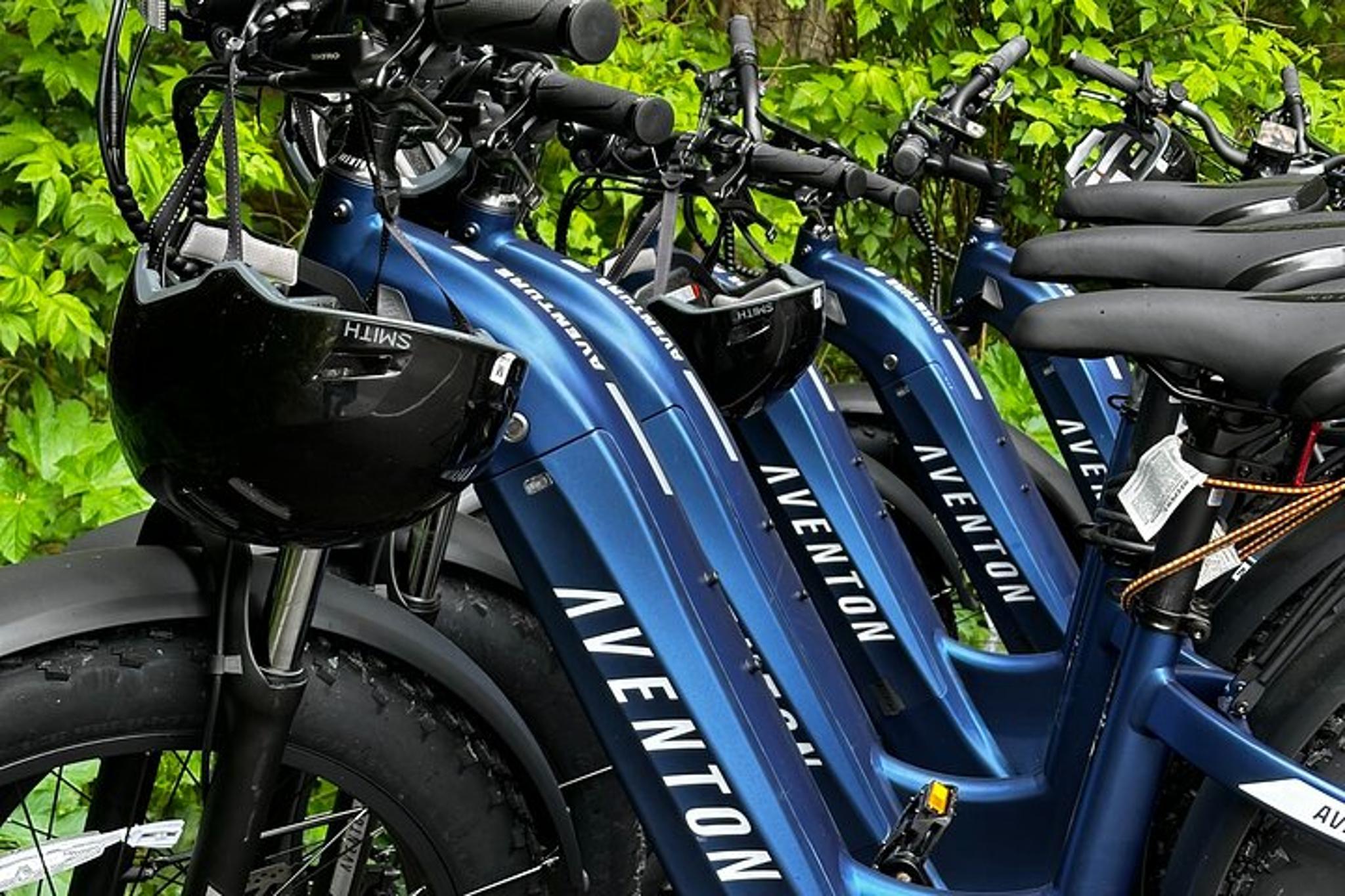 Sitka E-Bike Rentals - Image 2