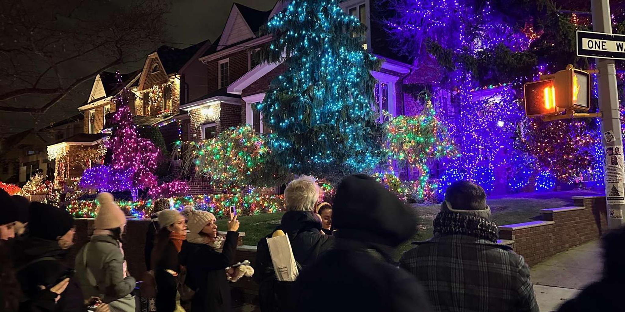 New York City Holiday Lights Tour - Image 3