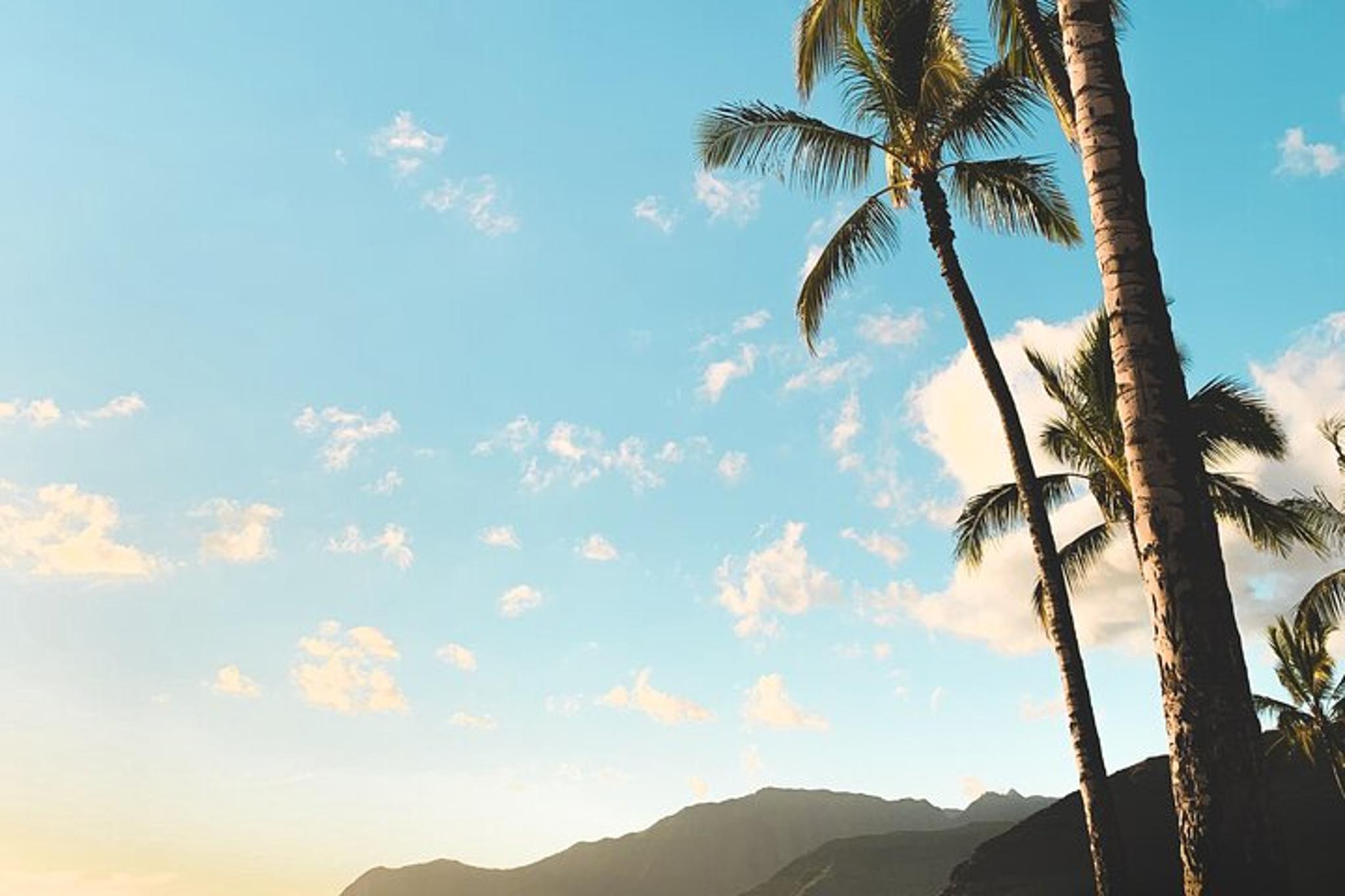 Oahu Local Tour - Image 3