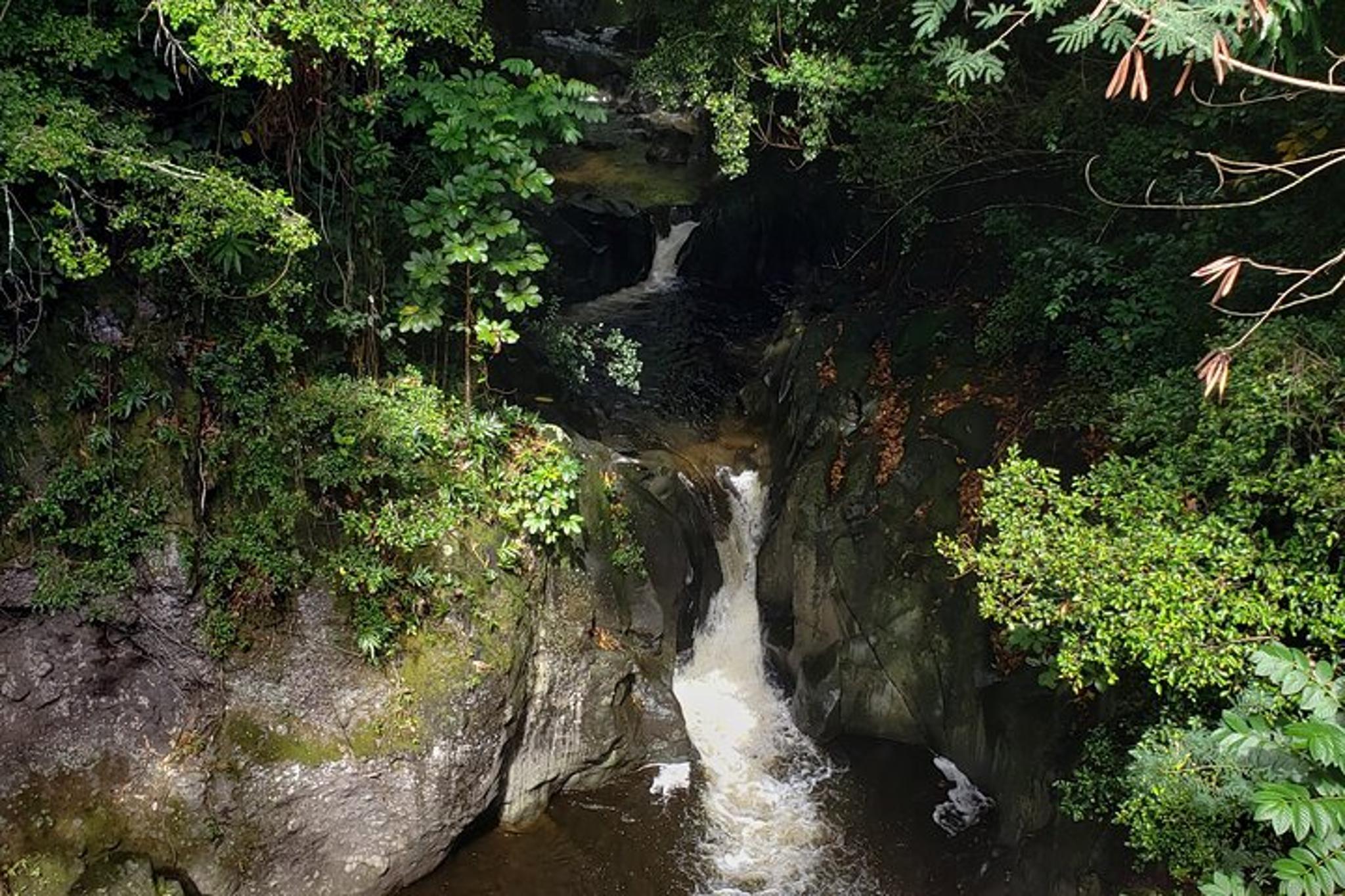 Maui Road to Hana Reverse Tour - Image 3