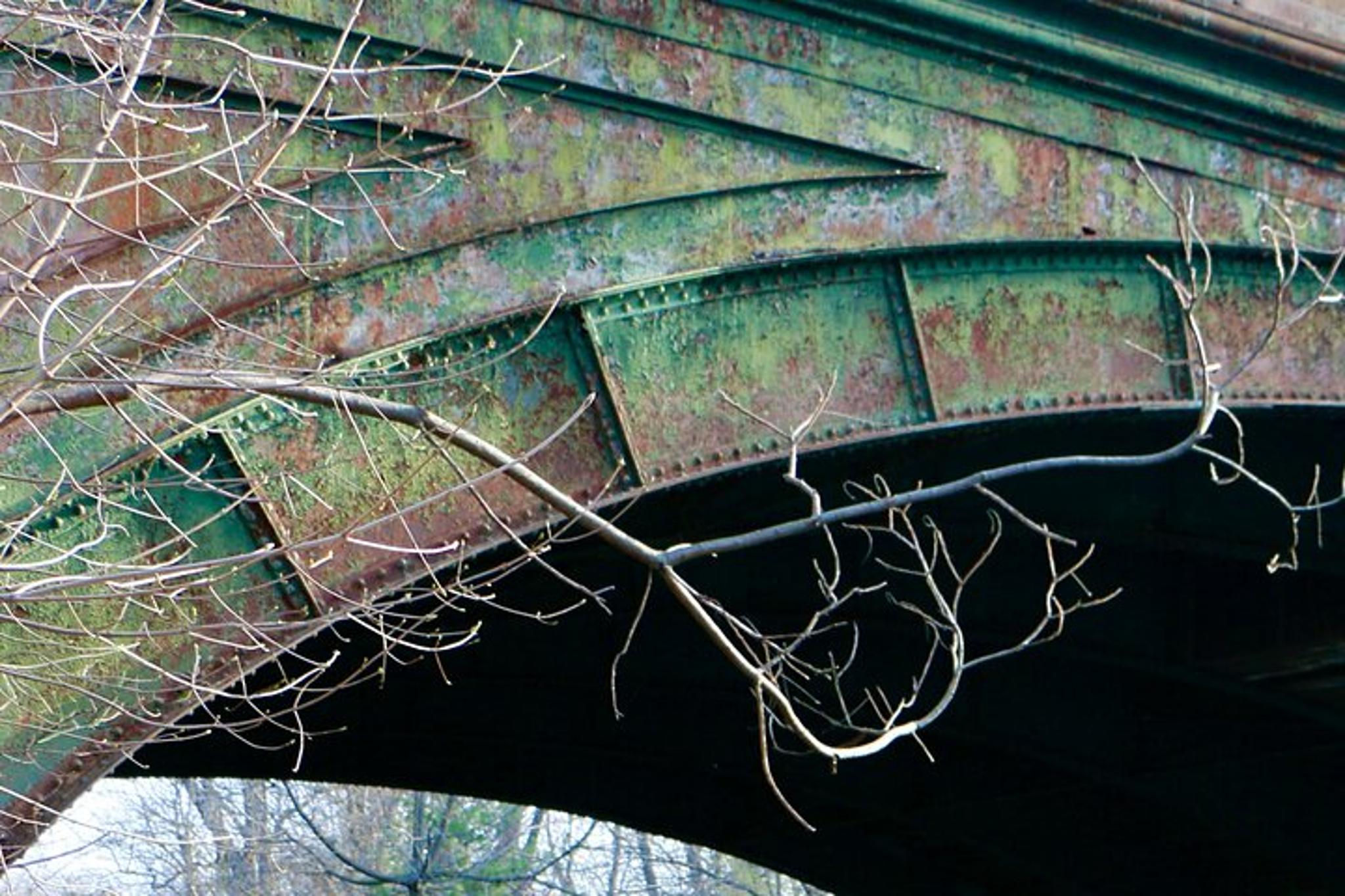 New York Central Park Photo Tour - Image 6