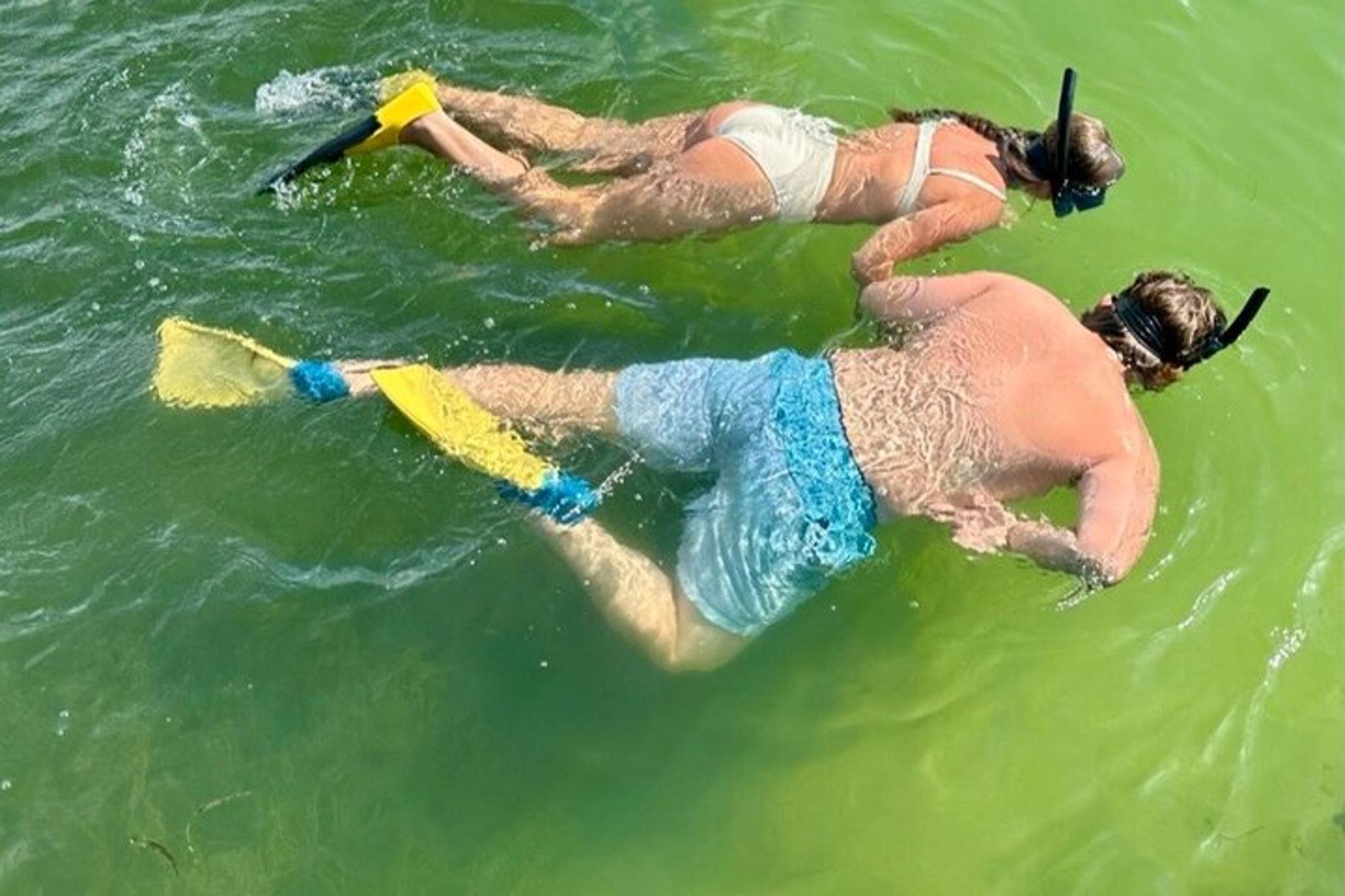 Egmont Key Island Tour with Dolphins & Snorkeling