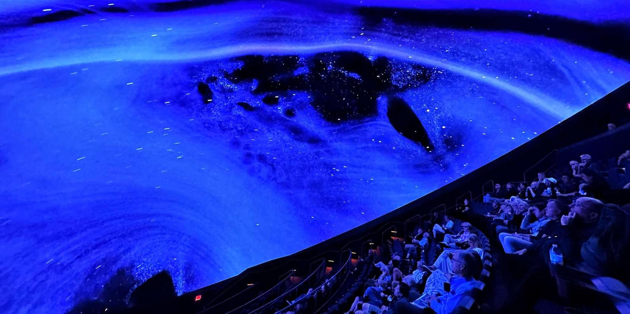 Tampa Ocean Sounds Immersive Experience 1 hr - Image 5