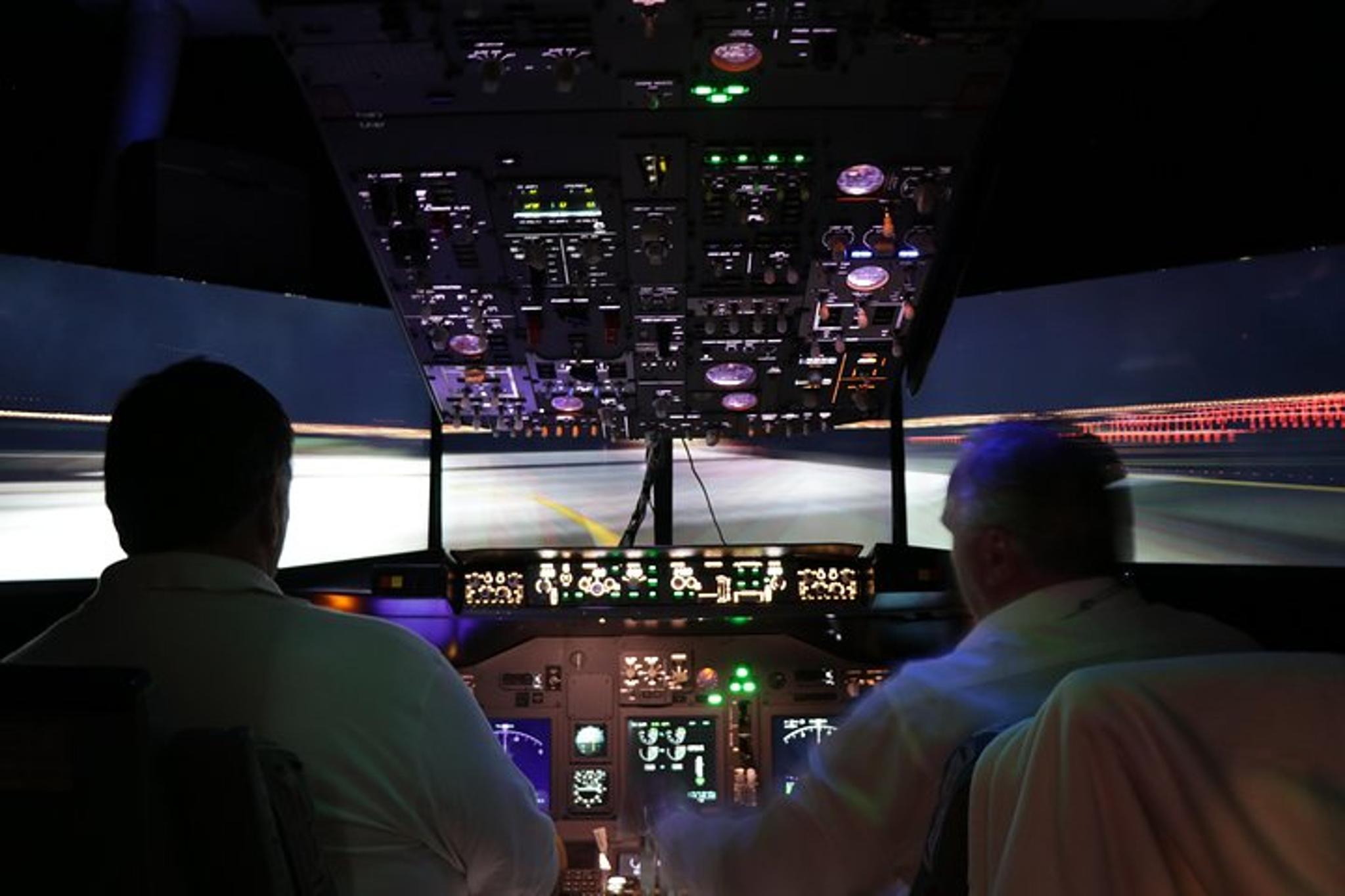 Boeing 737 Flight Simulator Experience - Image 3