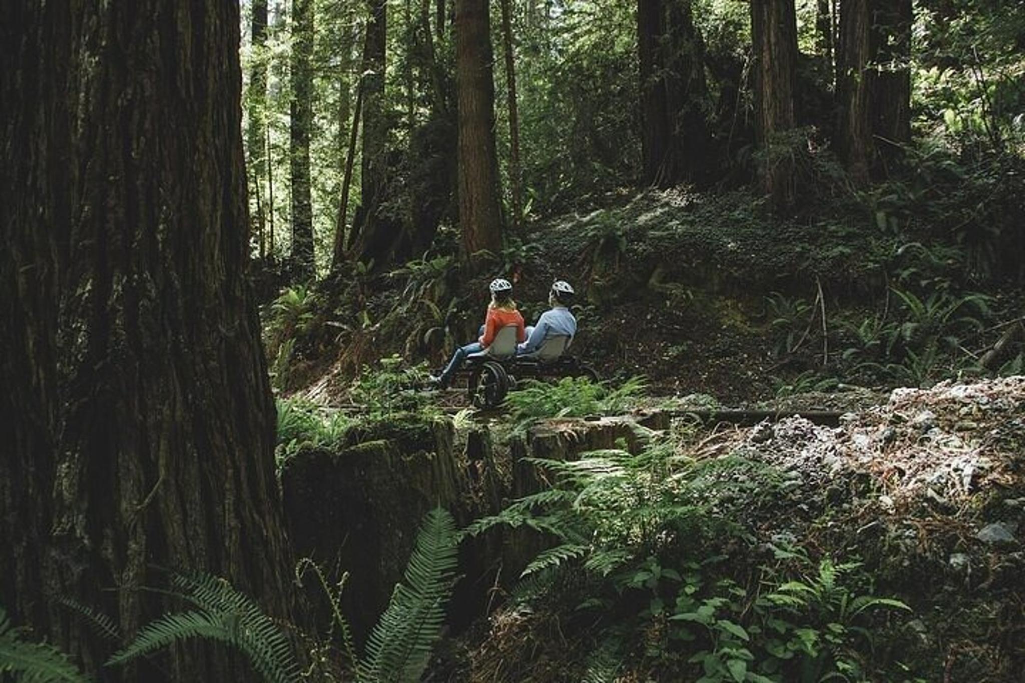 Fort Bragg Railbike Adventure Along Pudding Creek - Image 2