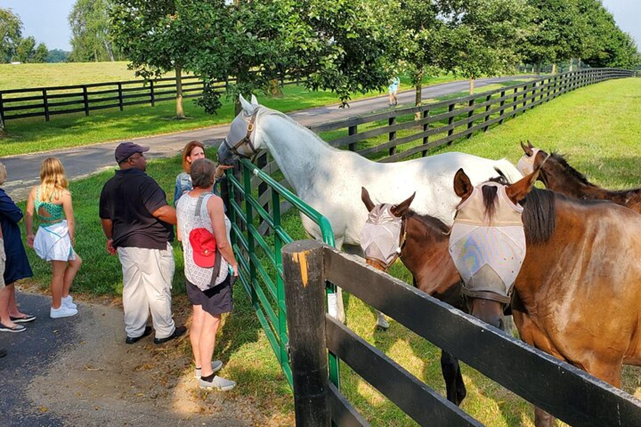 Lexington Farm Tour with Clay Pigeon Shooting - Image 5