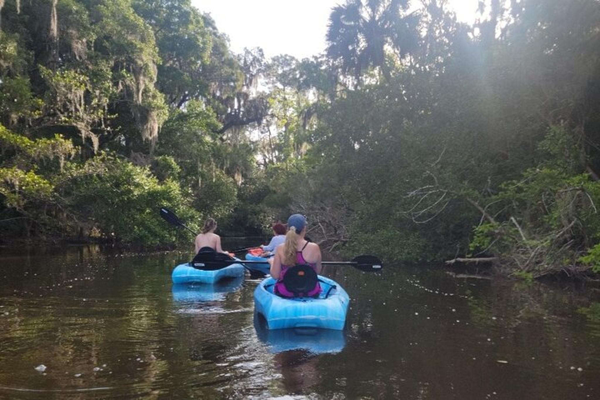 New Smyrna Dolphin and Manatee Kayak Adventure - Image 5