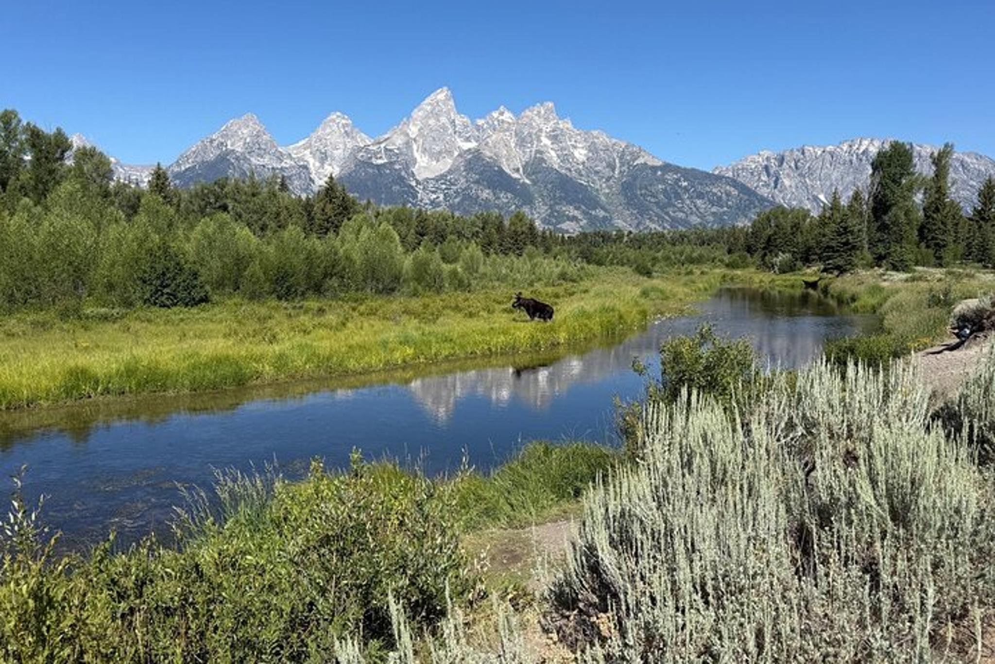 Grand Teton National Park Private Tour - Image 3