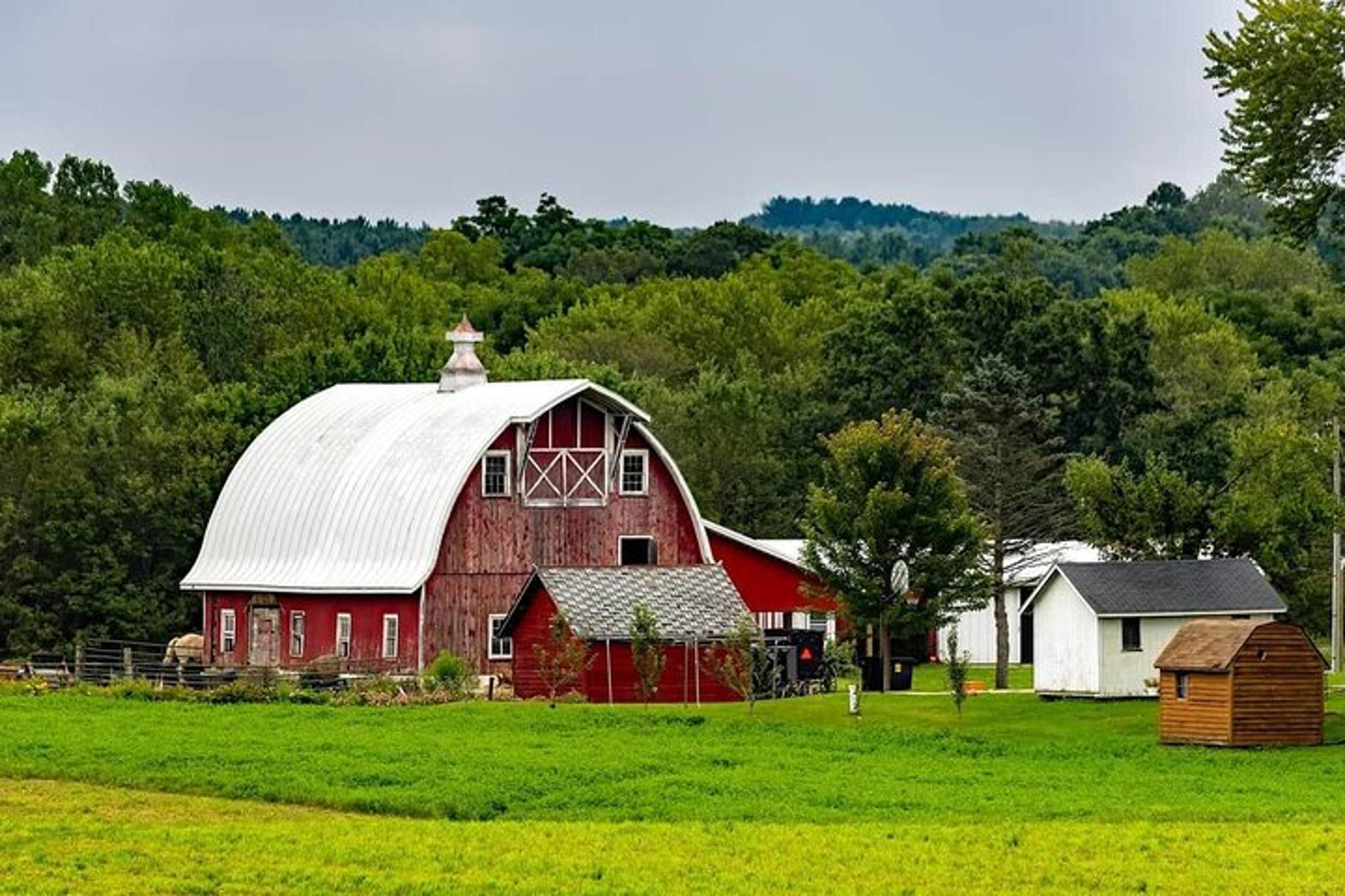 Washington D.C. Amish Farm and House Tour 8 hr - Image 4