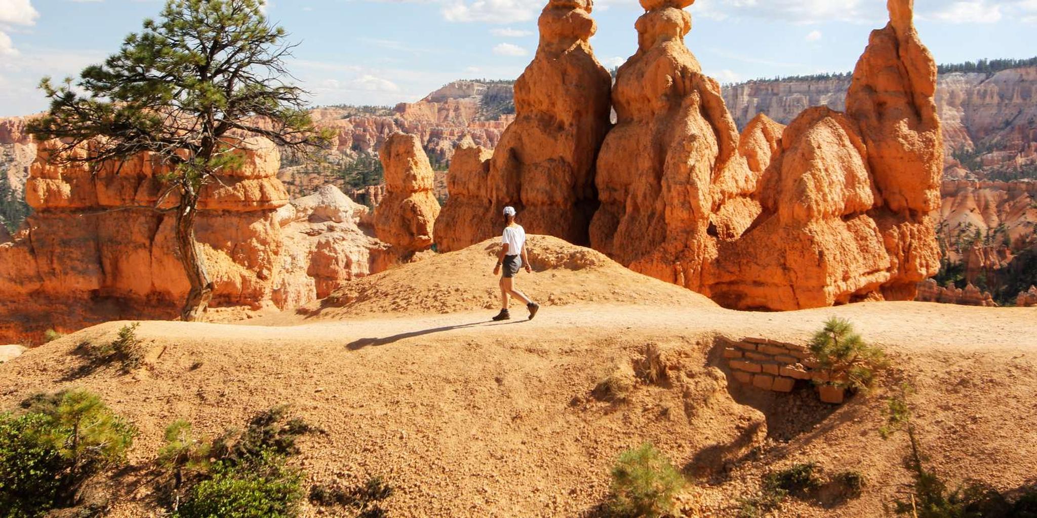 Bryce Canyon & Zion National Park Private Tour