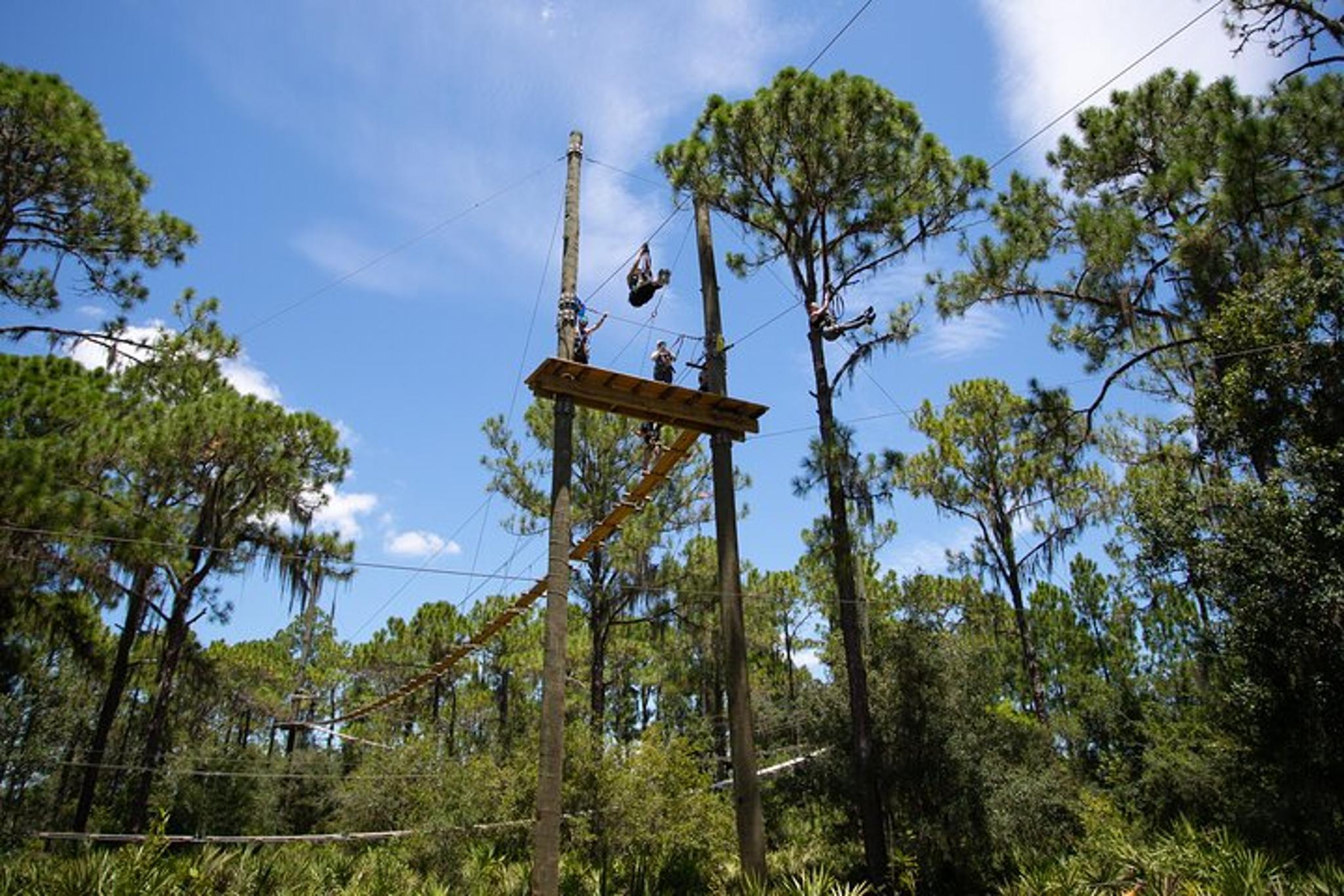 TreeUmph Adventure Course - Image 6