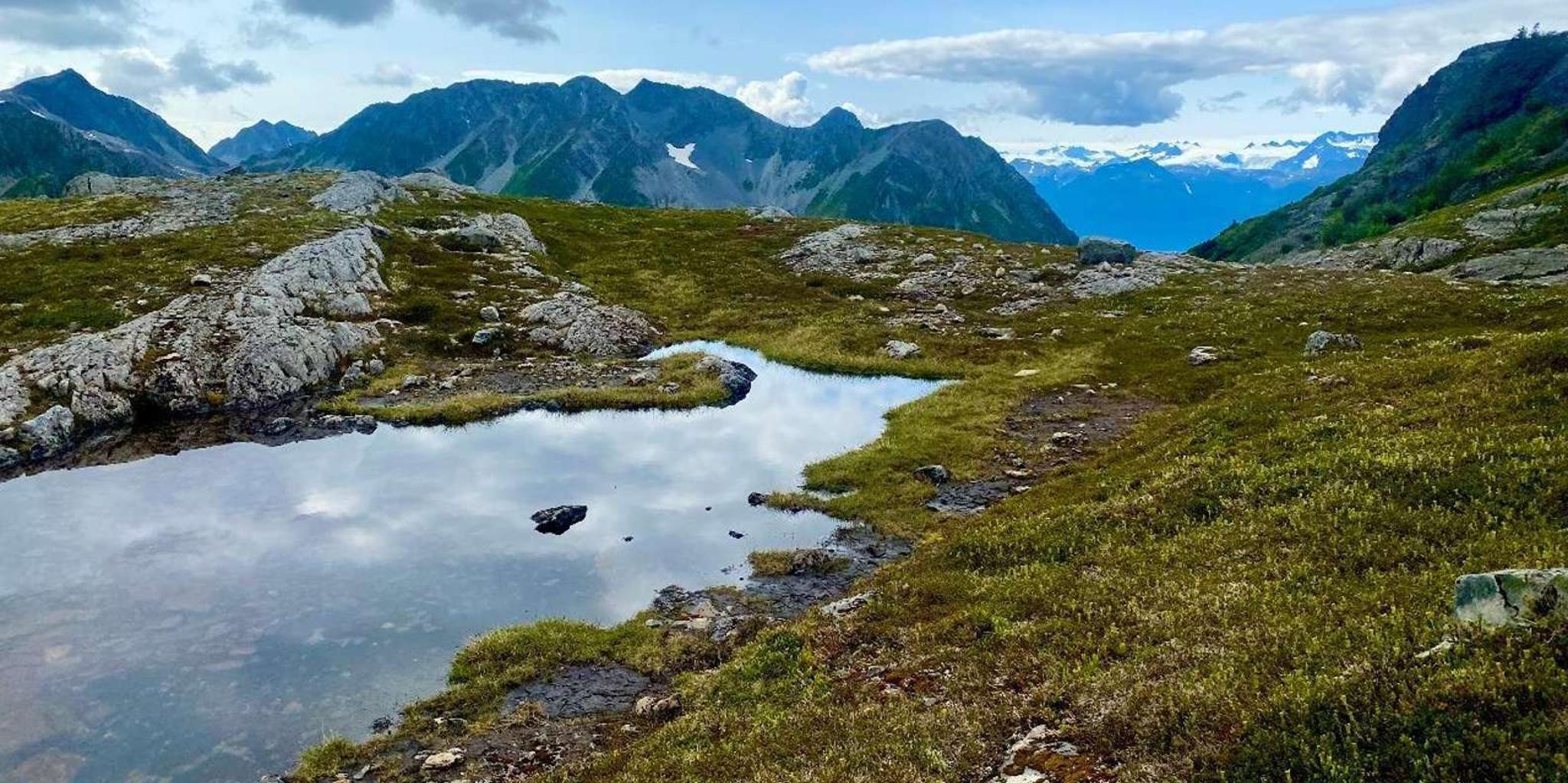 Seward Alpine Hike and Picnic Helicopter Tour - Image 3