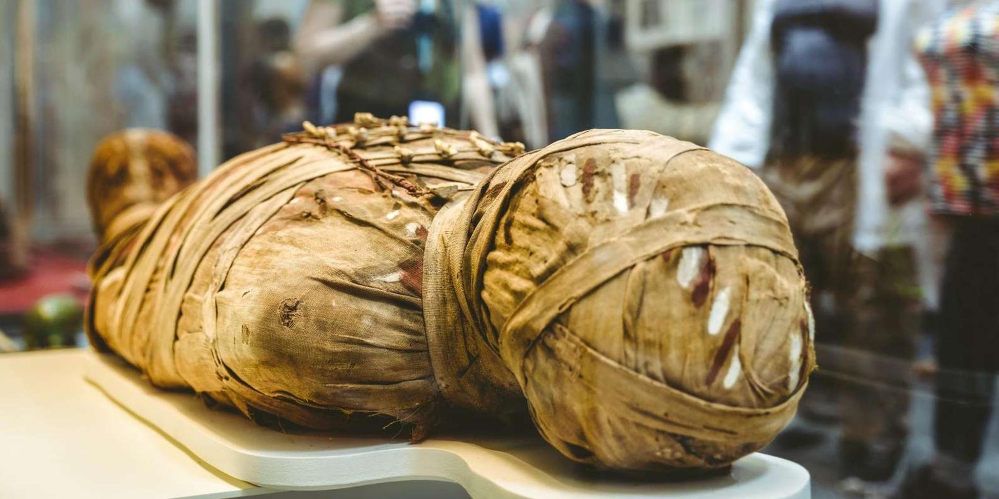 Boston Museum of Fine Arts Private Guided Tour - Image 5