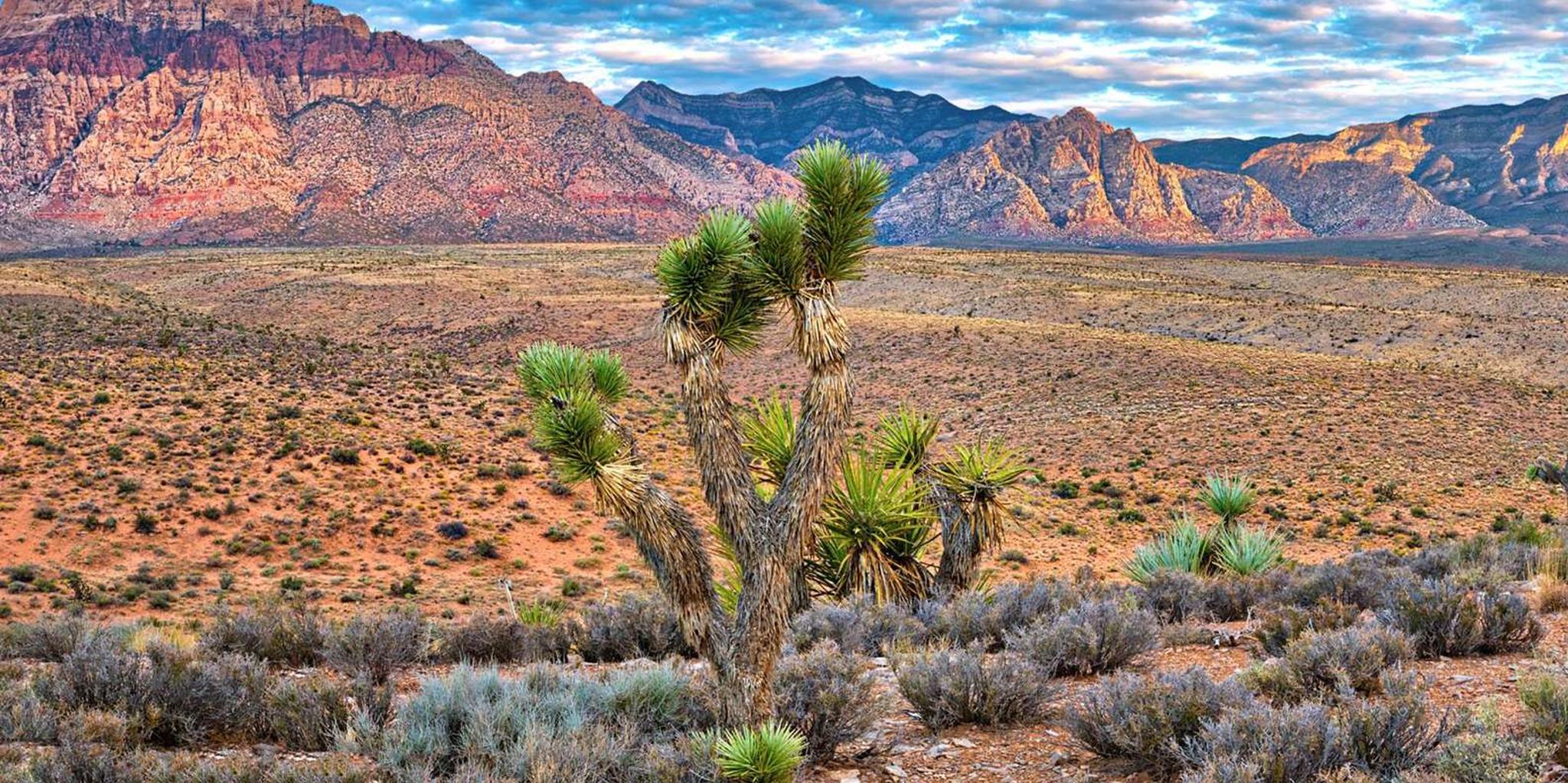 Las Vegas Red Rock Canyon and Seven Magic Mountains Tour - Image 6