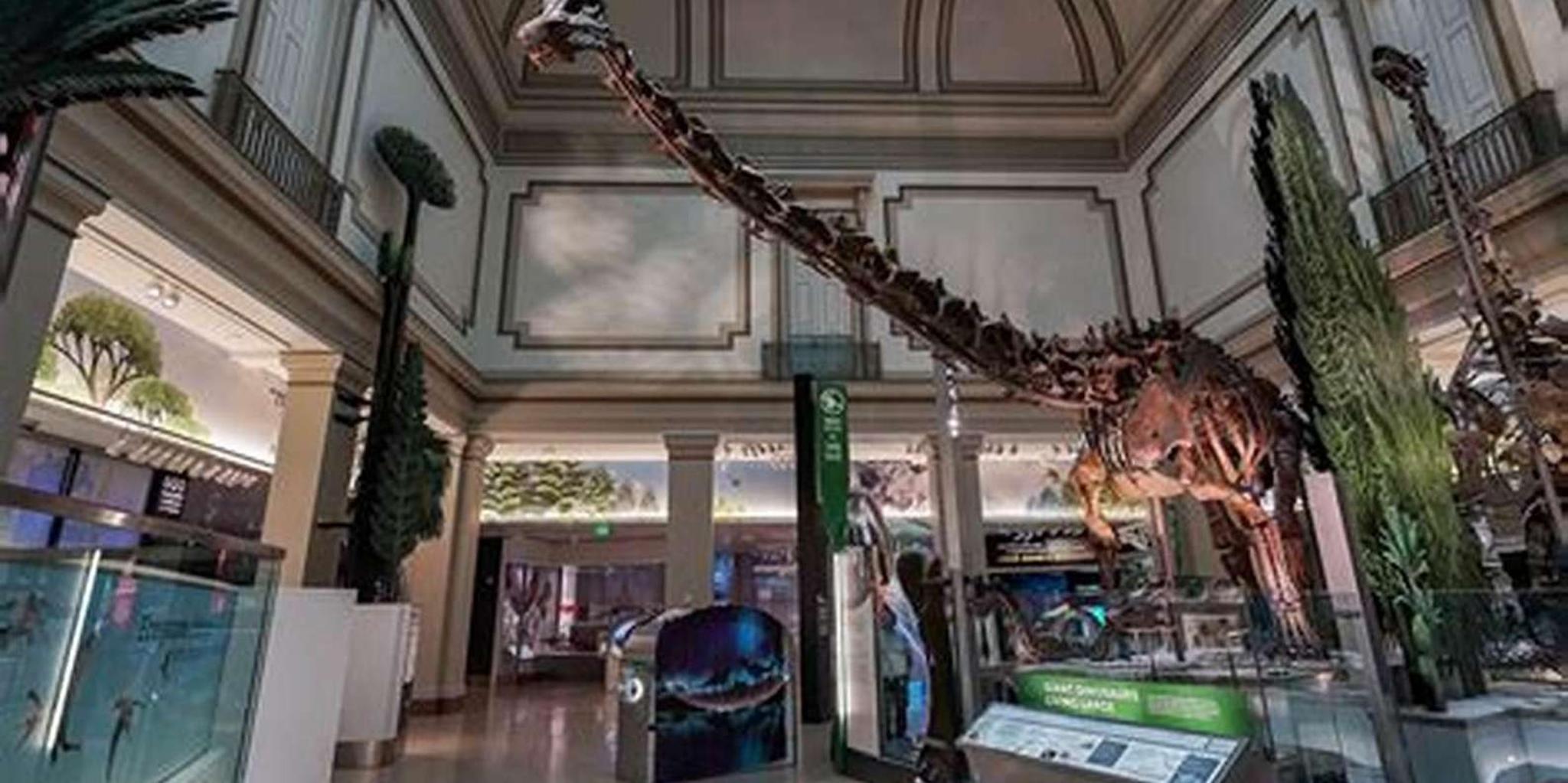 Washington DC History and Natural History Museum Tour 3 hr