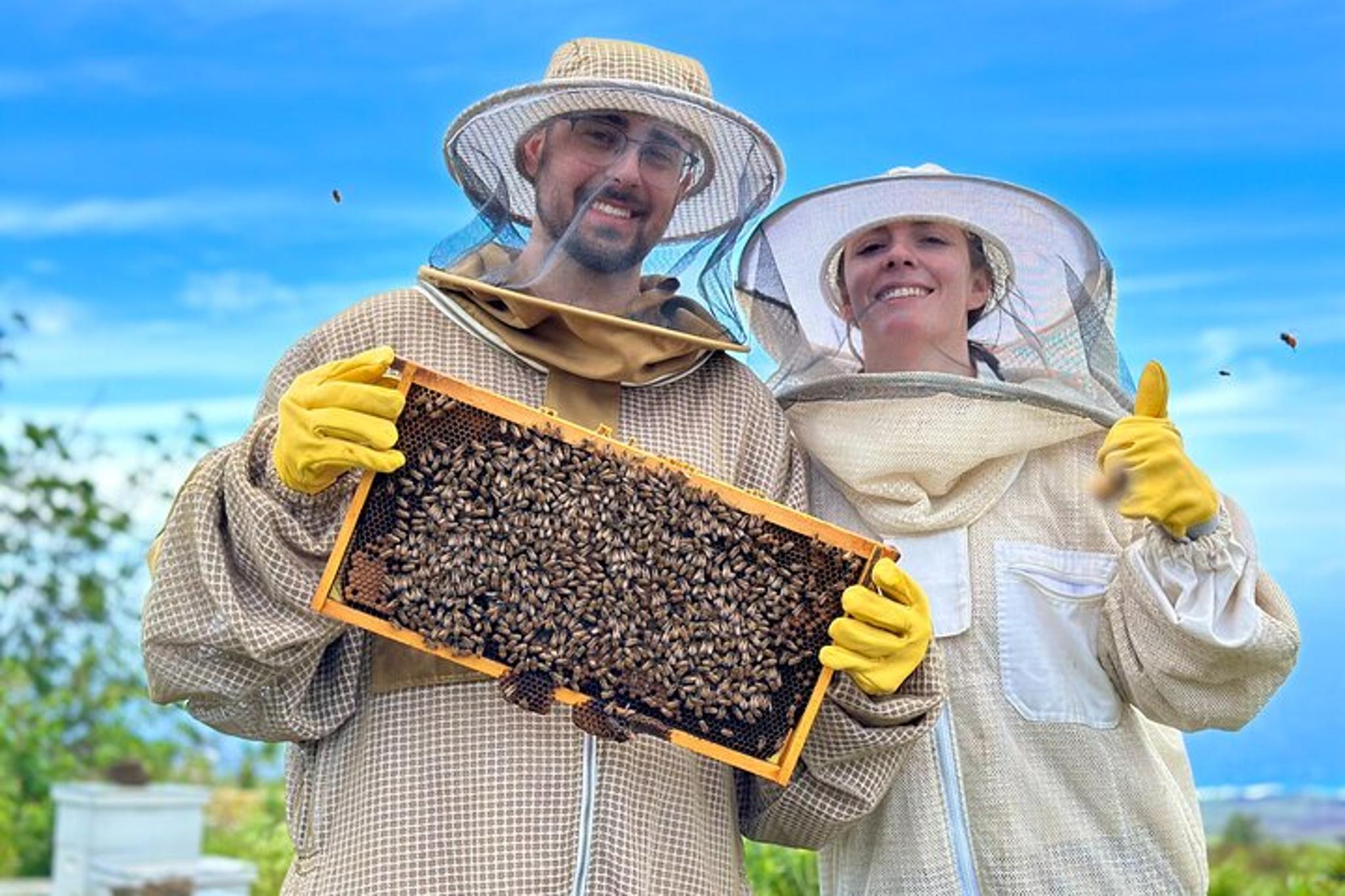 Maui Honey Bee Adventure - Image 3