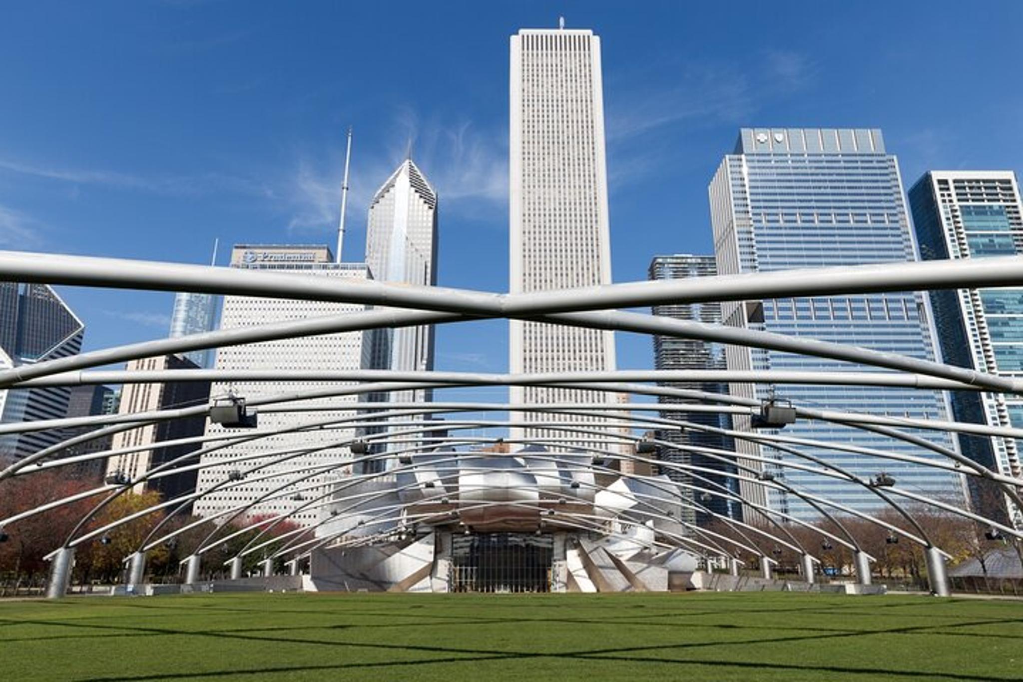 Chicago Walking Tour and Lake Michigan Cruise - Image 5