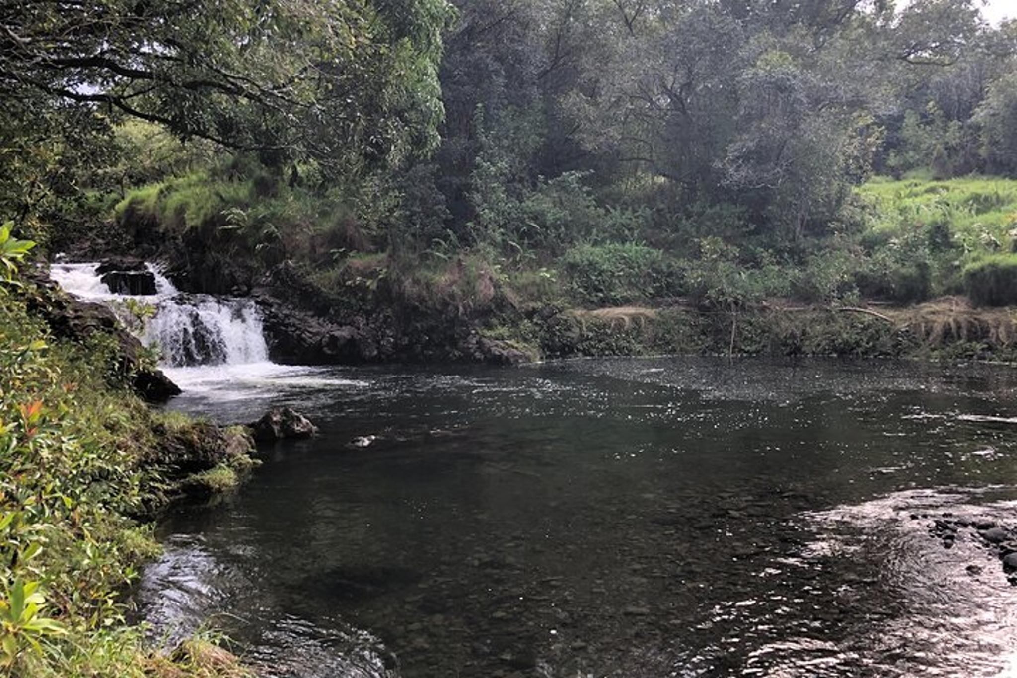 Maui Road to Hana and Waterfall Hike - Image 5