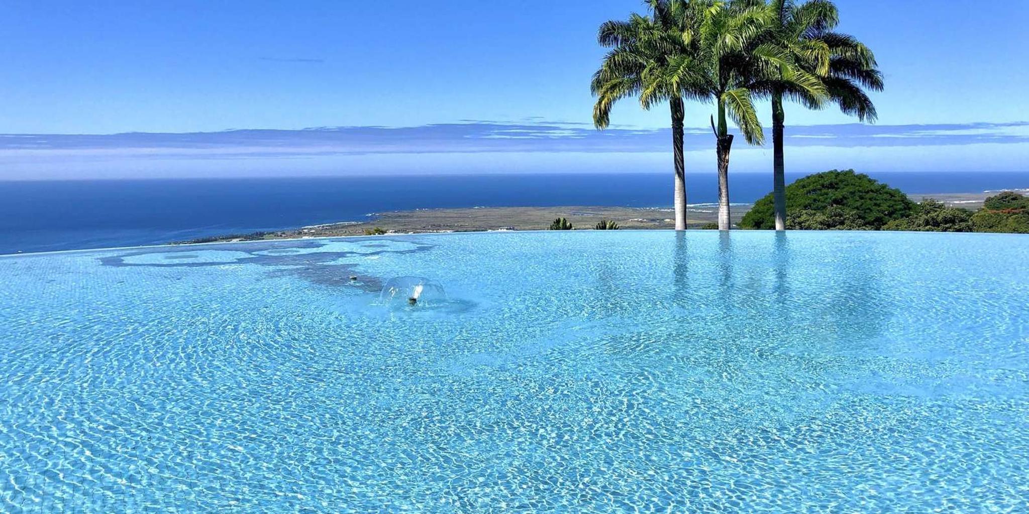 Kona Cloud Forest, Coffee & Sea Turtles Tour - Image 4