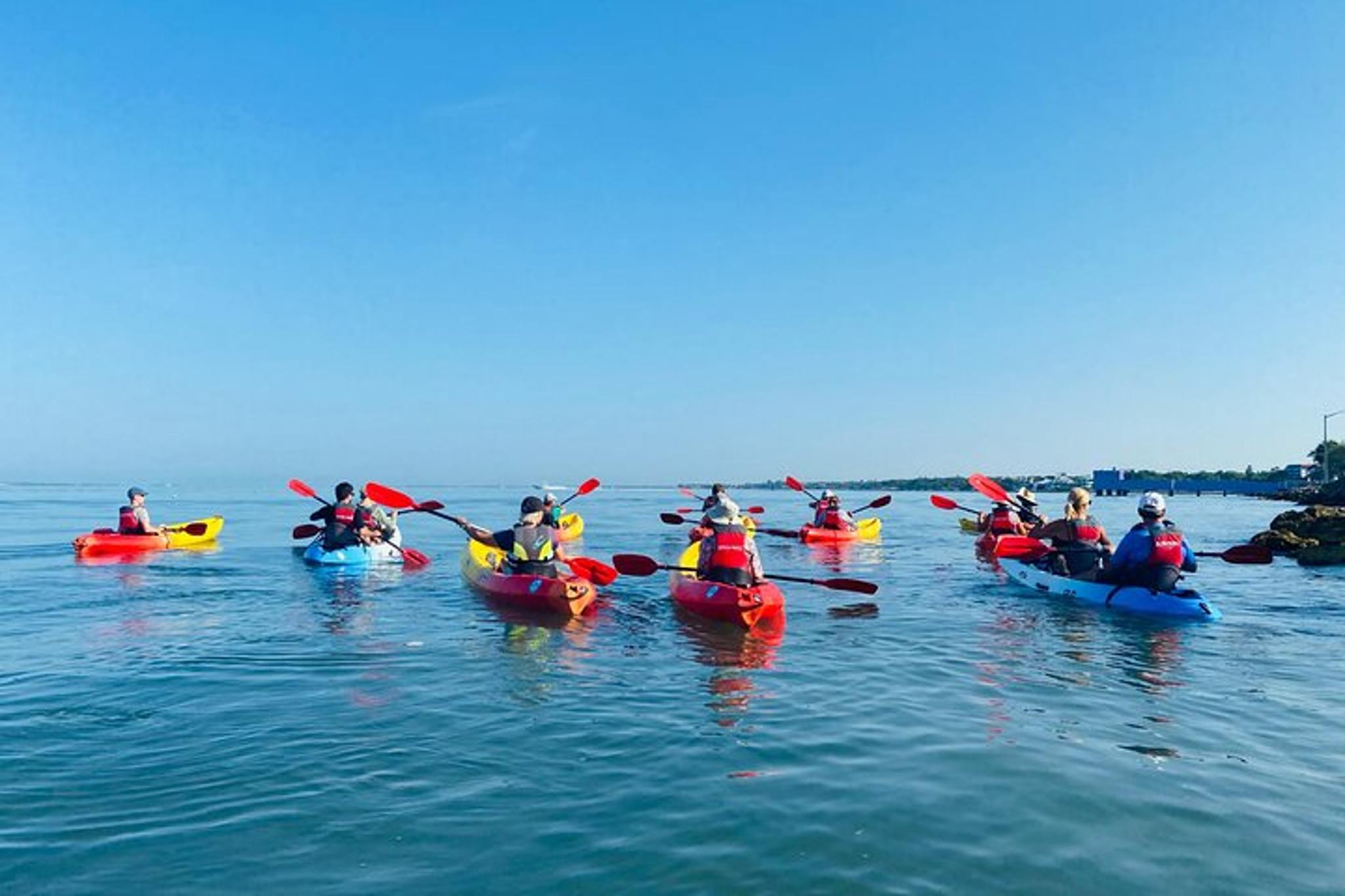 Sarasota Kayak Paddling Experience - Image 6