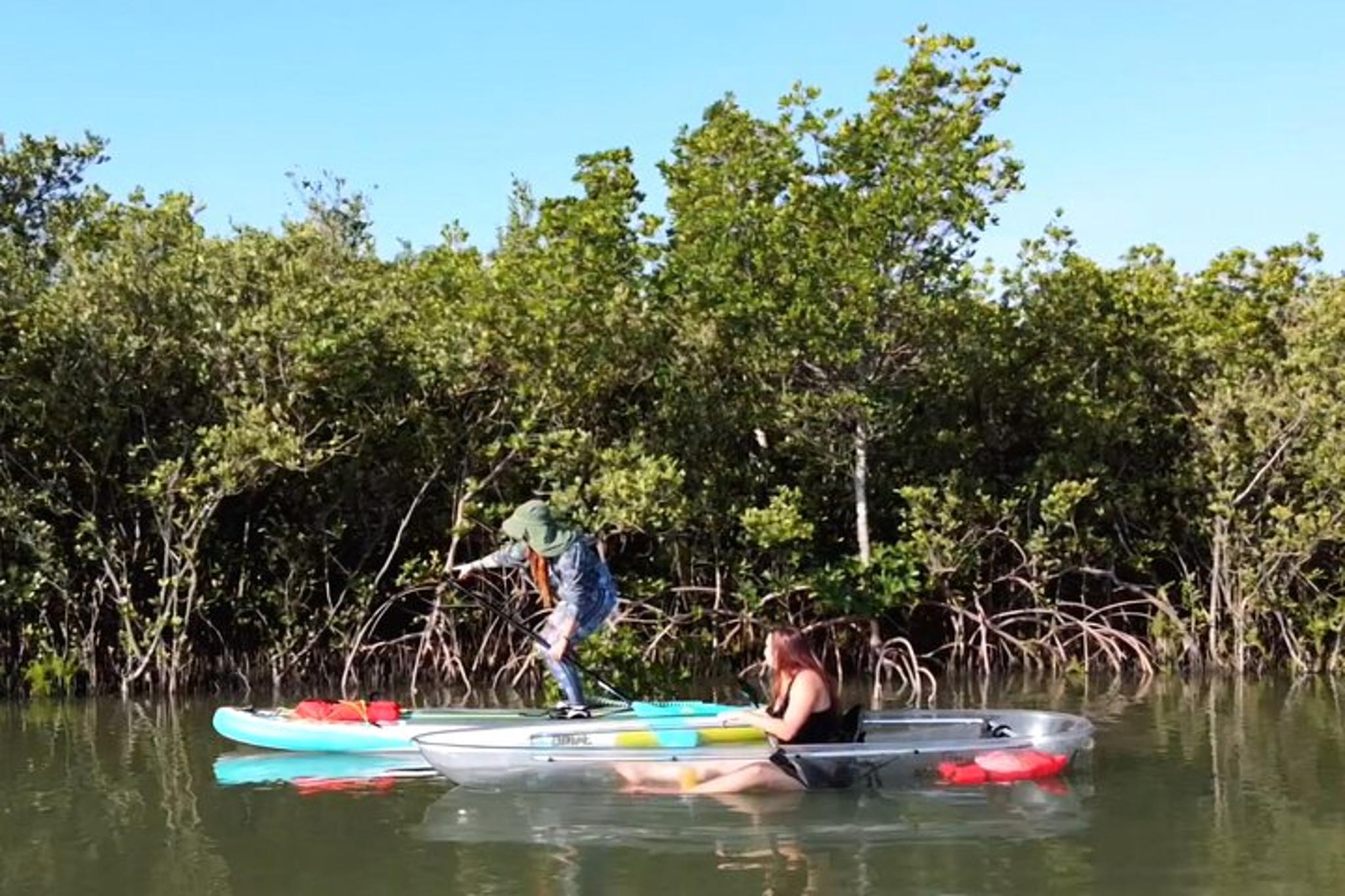 New Smyrna Beach Mangrove Paddle Tour - Image 2