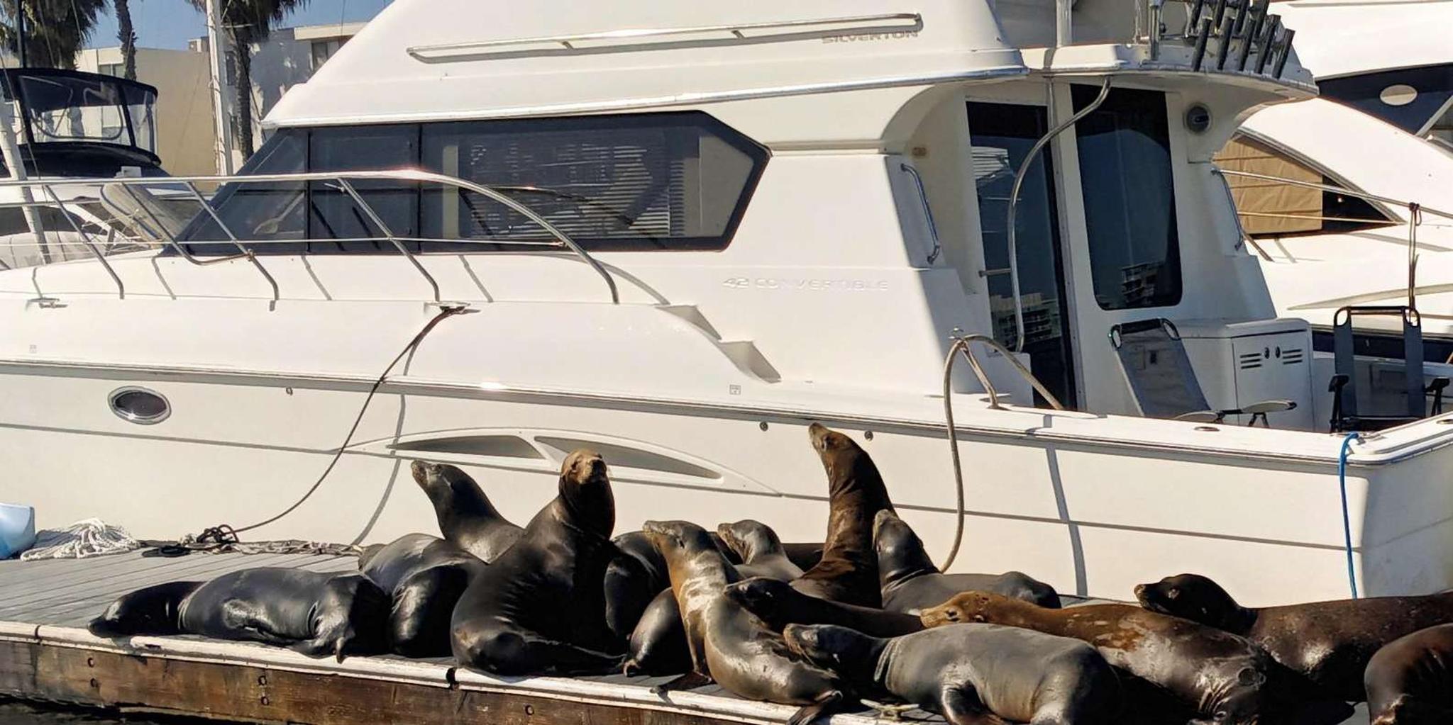 Marina Del Rey Romantic Cruise with Wine and Cheese - Image 6
