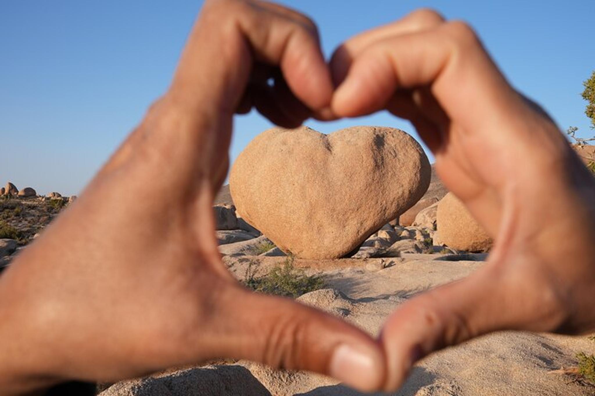 Los Angeles Joshua Tree National Park Private Tour - Image 6