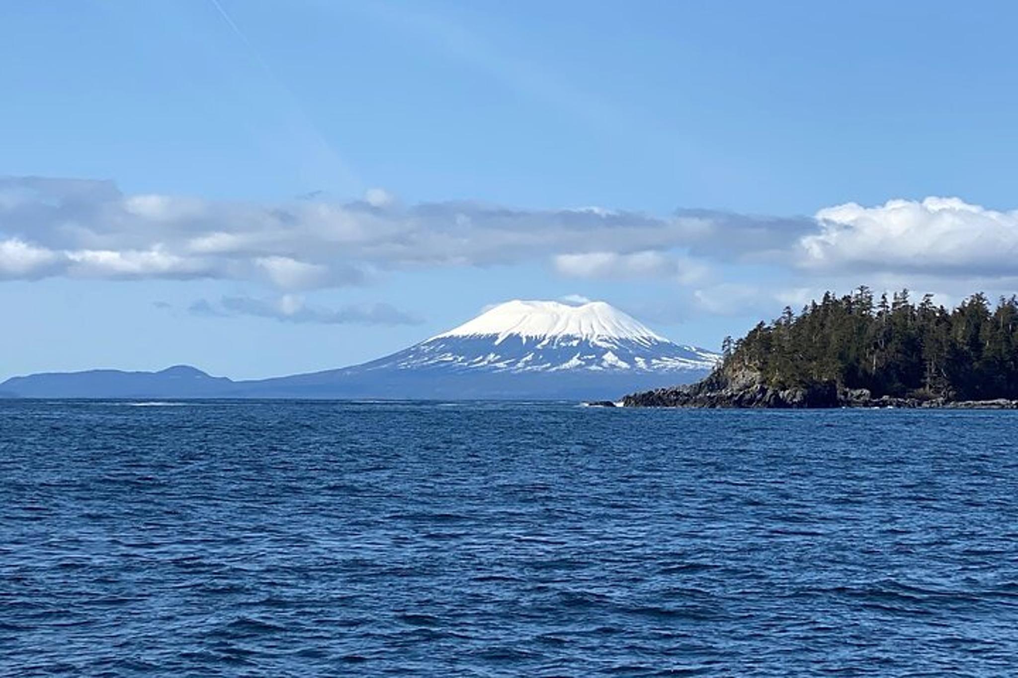 Sitka Marine Wildlife Tour - Image 5