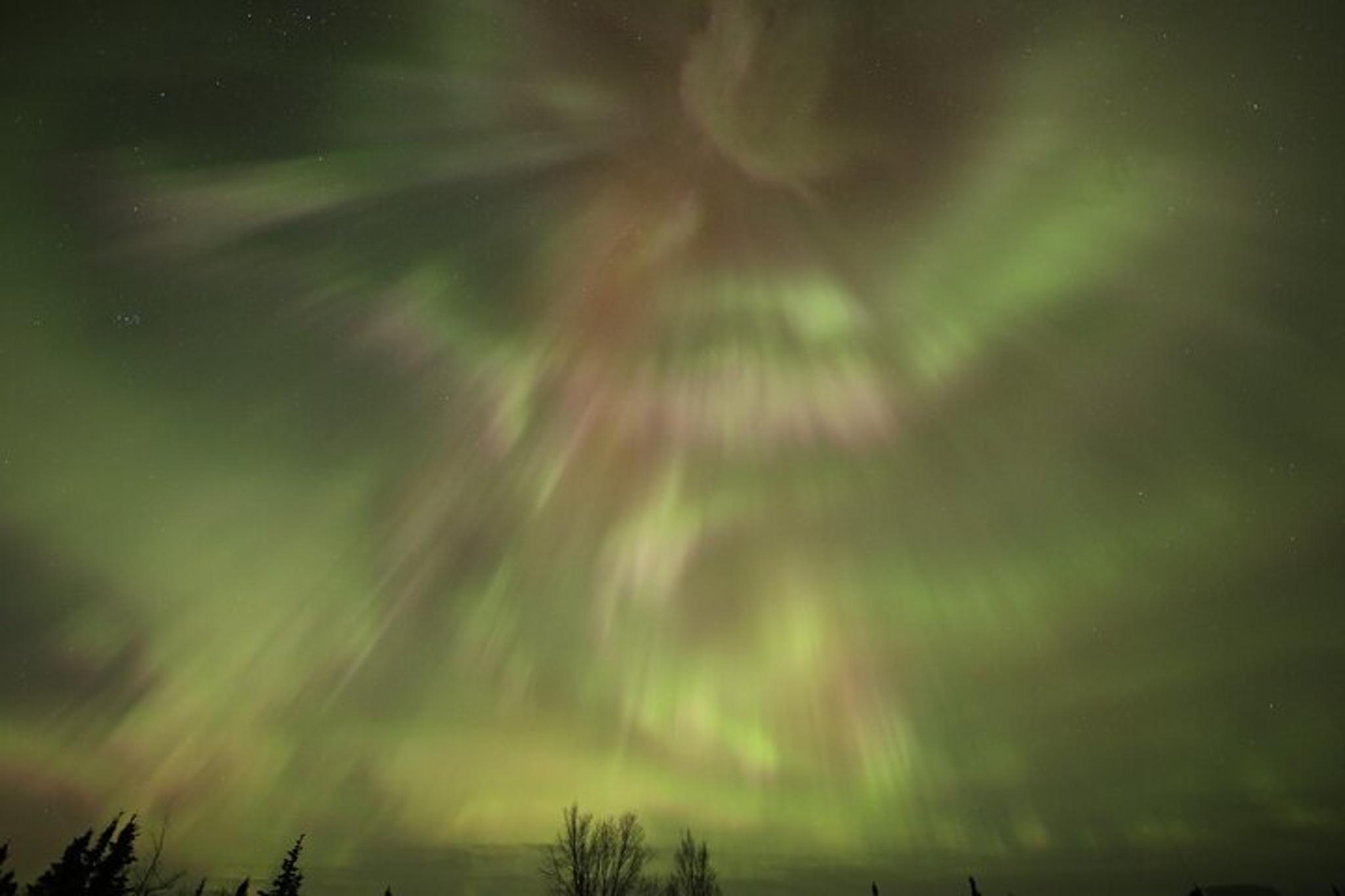 Alaska Arctic Circle and Aurora Viewing Tour - Image 5