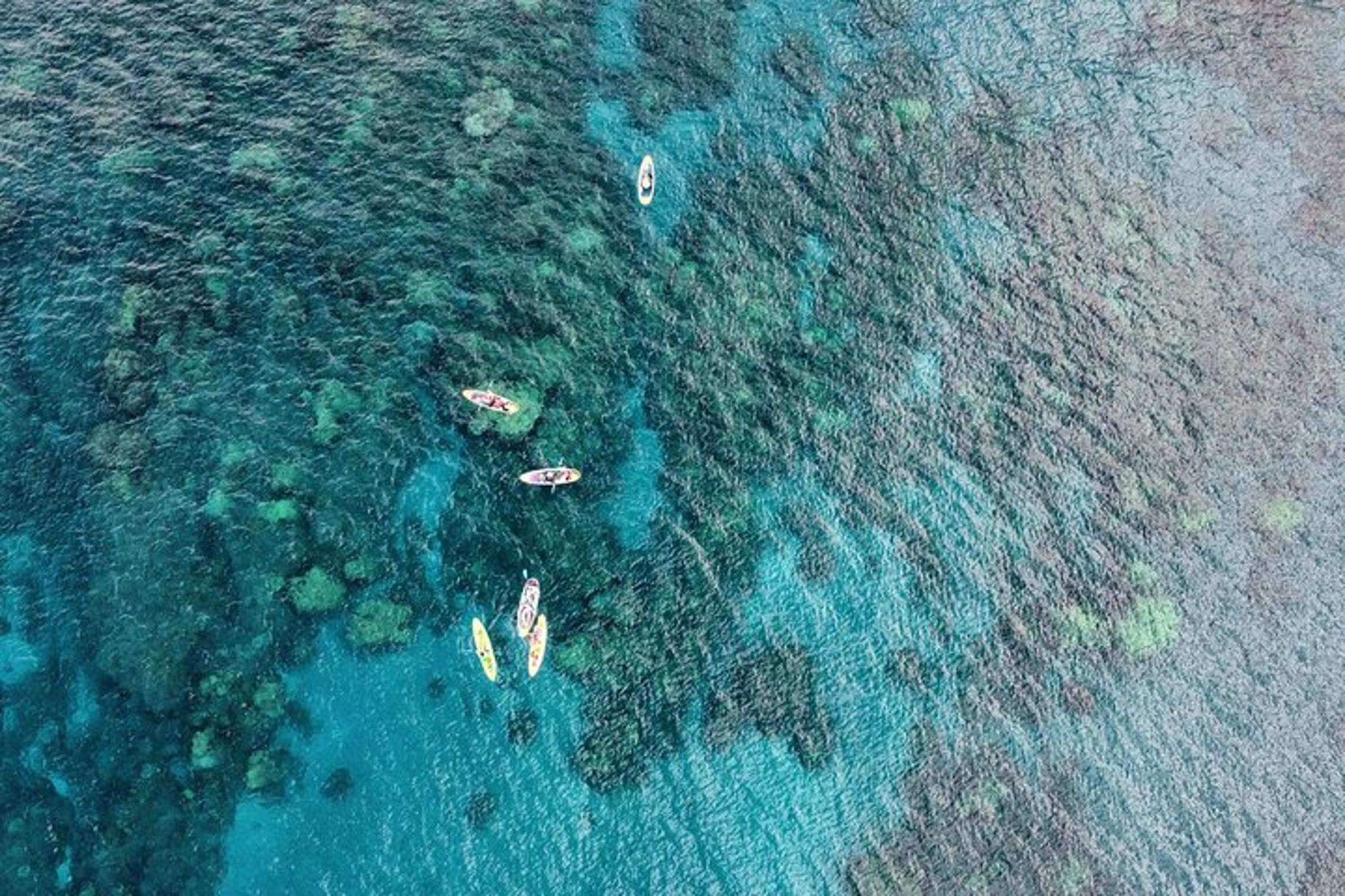 Maui Tandem Kayak Rental at Makena Landing 2 hr - Image 5