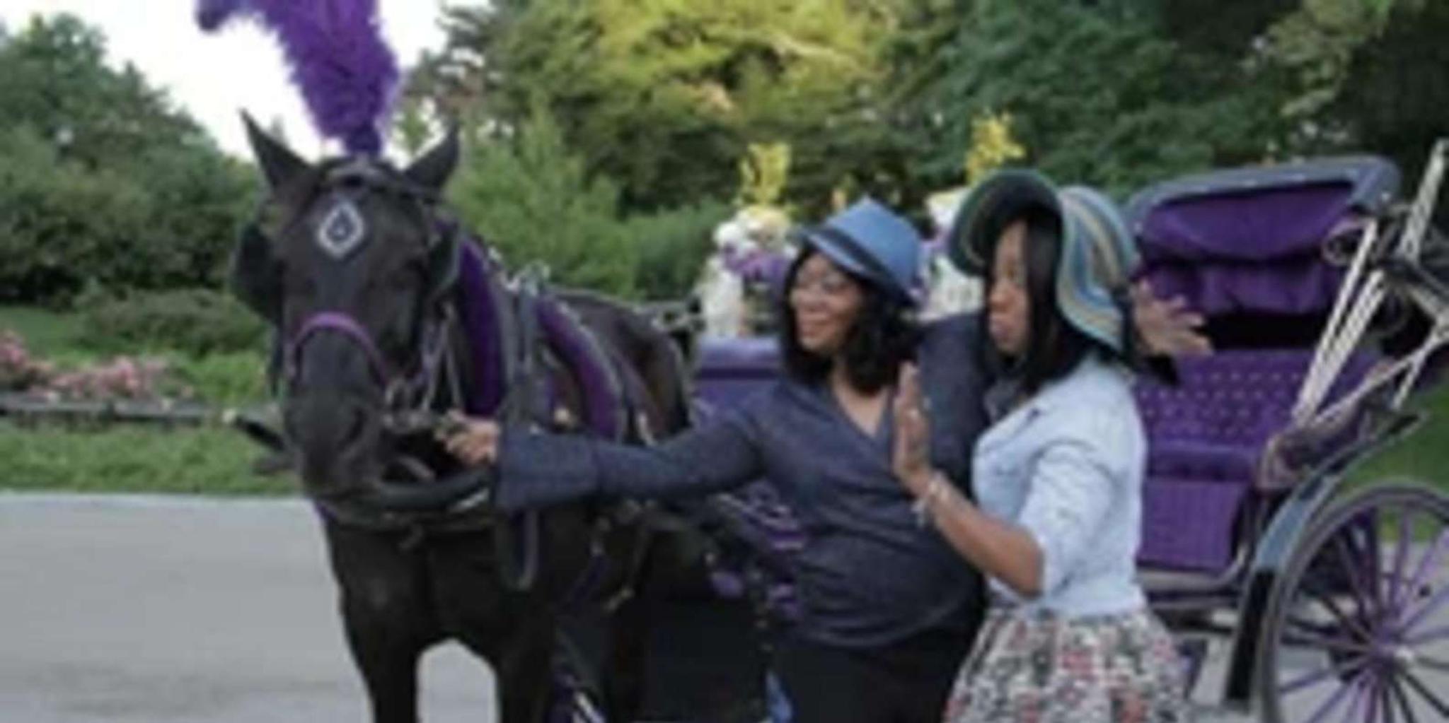 New York City Central Park Horse Carriage Ride 45 Min - Image 4