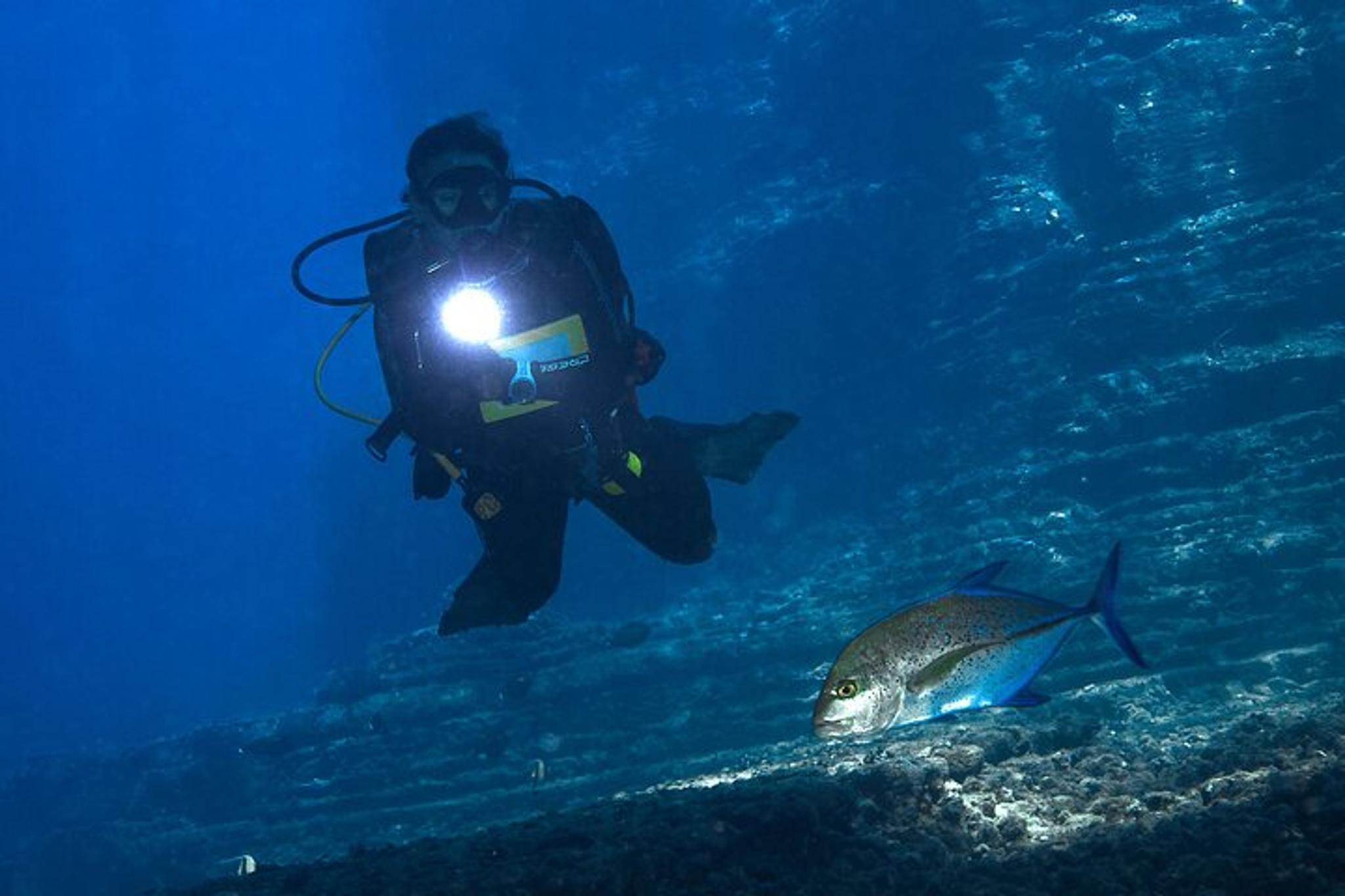 Ni'ihau Scuba Diving Adventure - Image 3