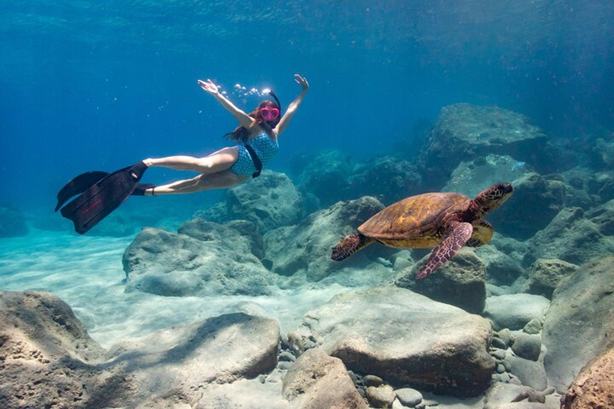 Lahaina Custom Kayak Tour - Image 3