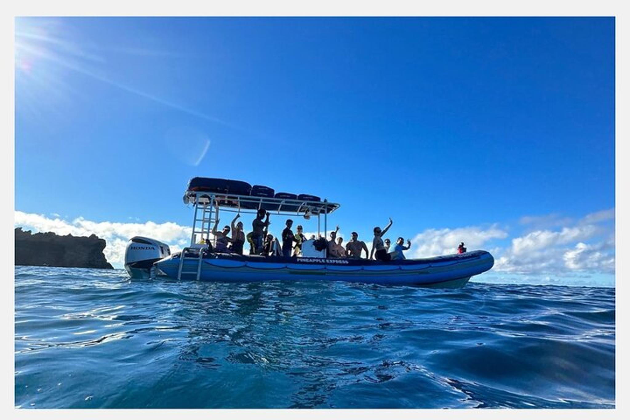 Maui Whale Watching Tour 1.5 hr - Image 5