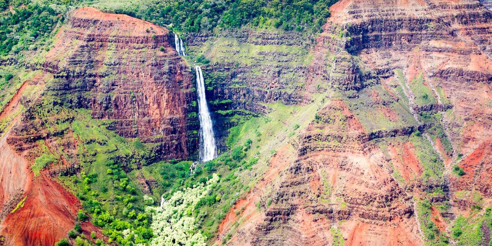 Kauai Waimea Canyon and Wailua River Tour - Image 5