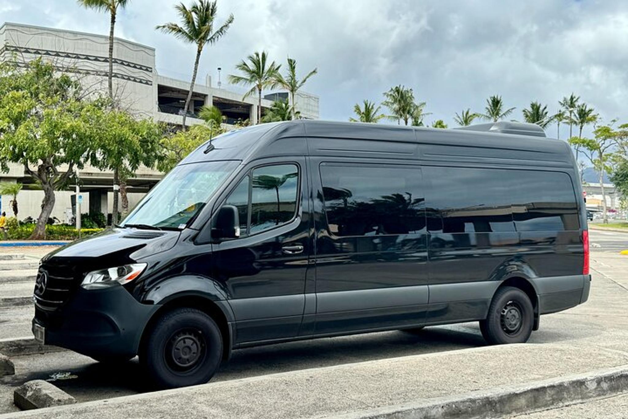 Honolulu Private Transfer: Airport, Port, Hotel - Image 2