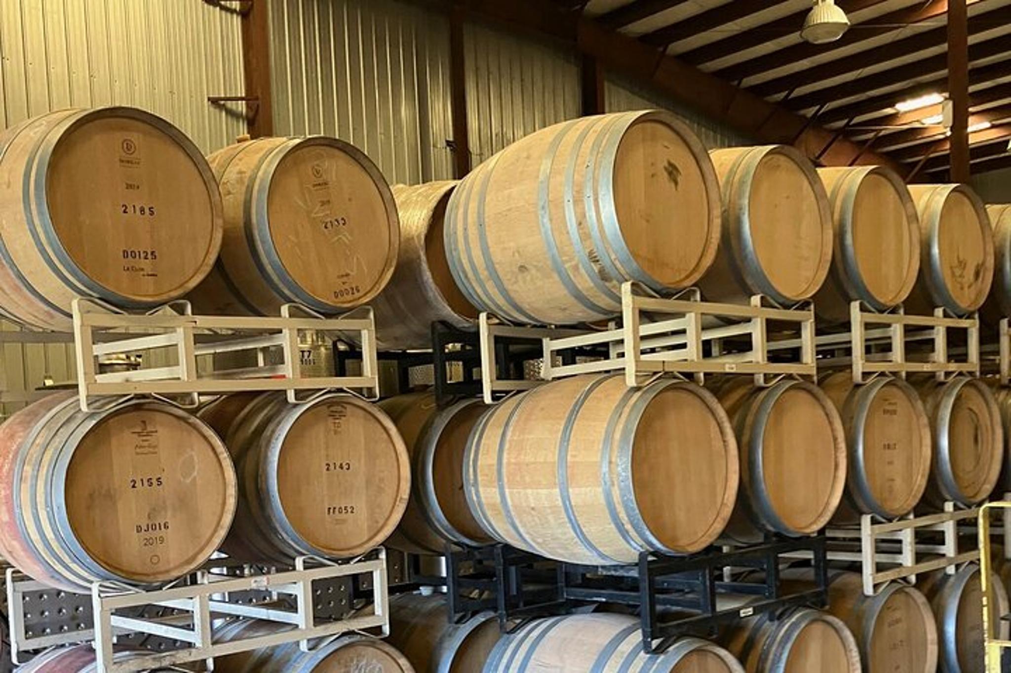 Duck Wine Tasting and Boat Ride