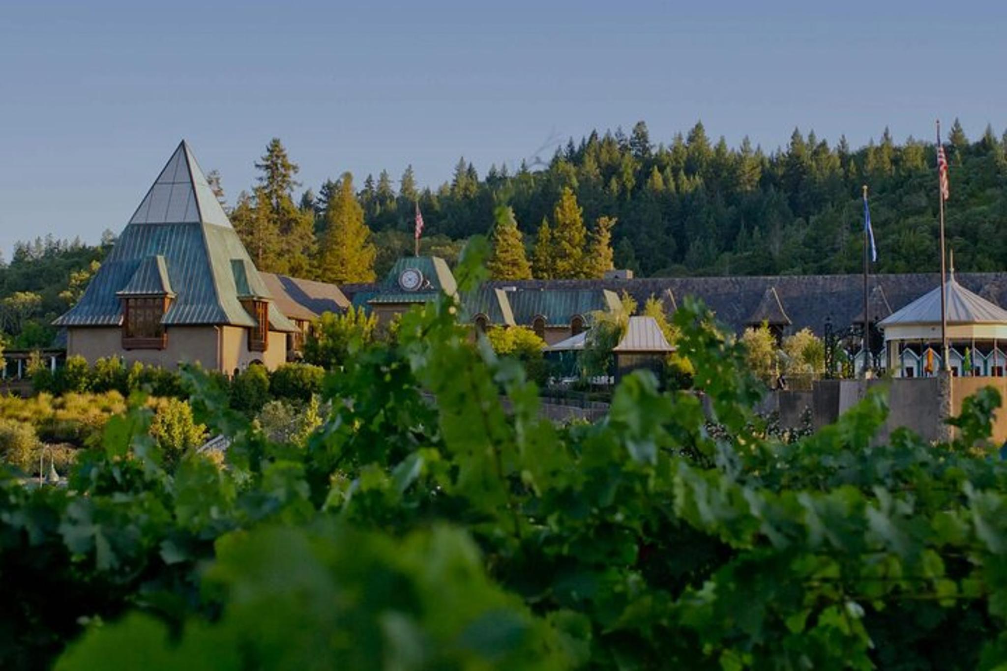 Healdsburg Private Wine Tour Featuring Coppola Winery 6 hr