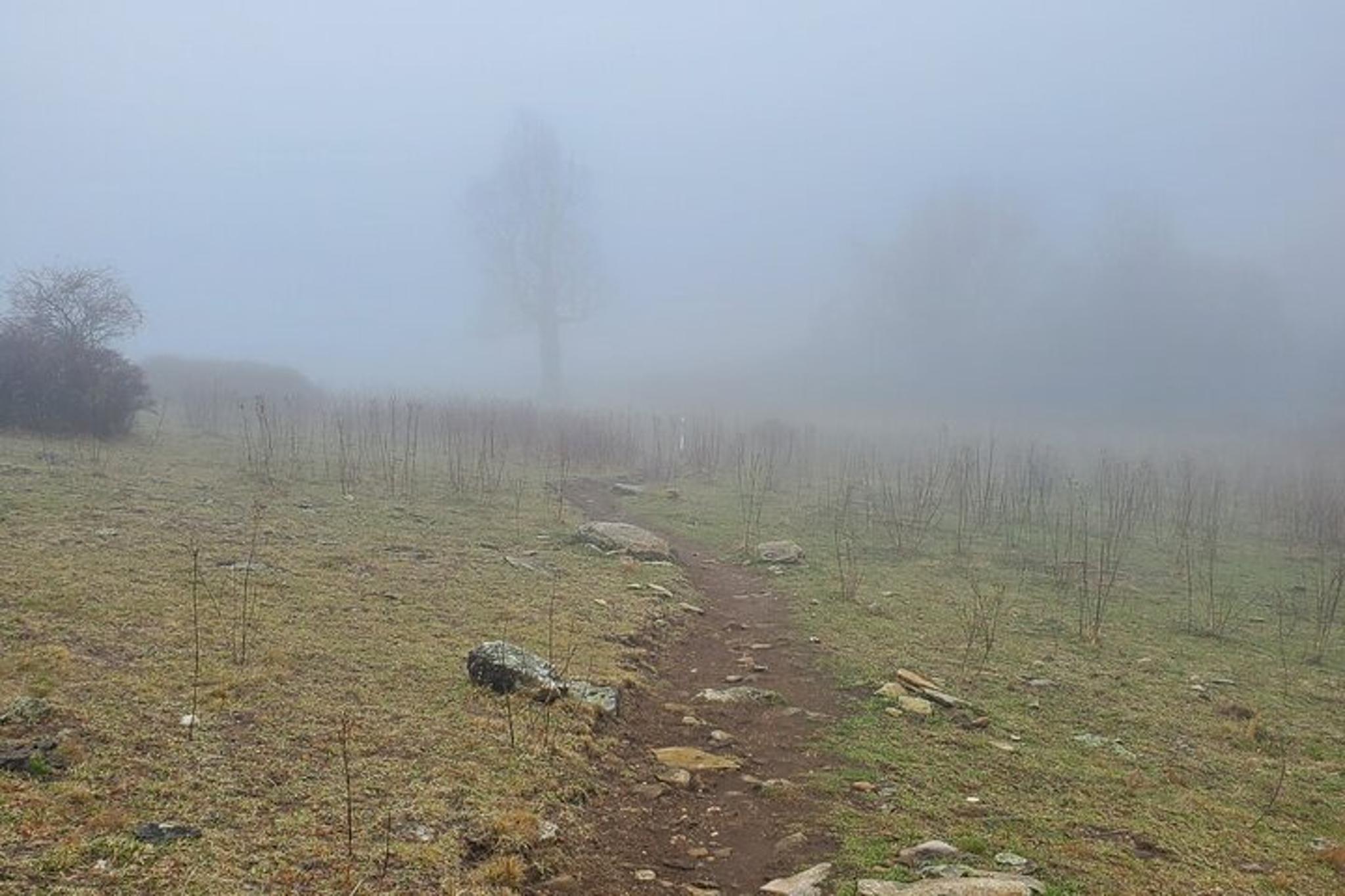 Asheville Guided Hiking Tour - Image 2