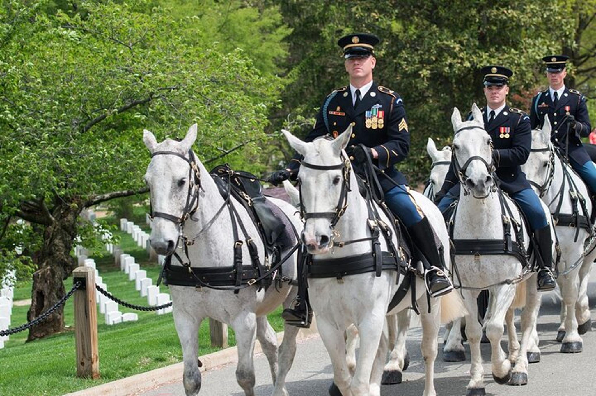 Arlington Cemetery Tour with Guard Ceremony - Image 4