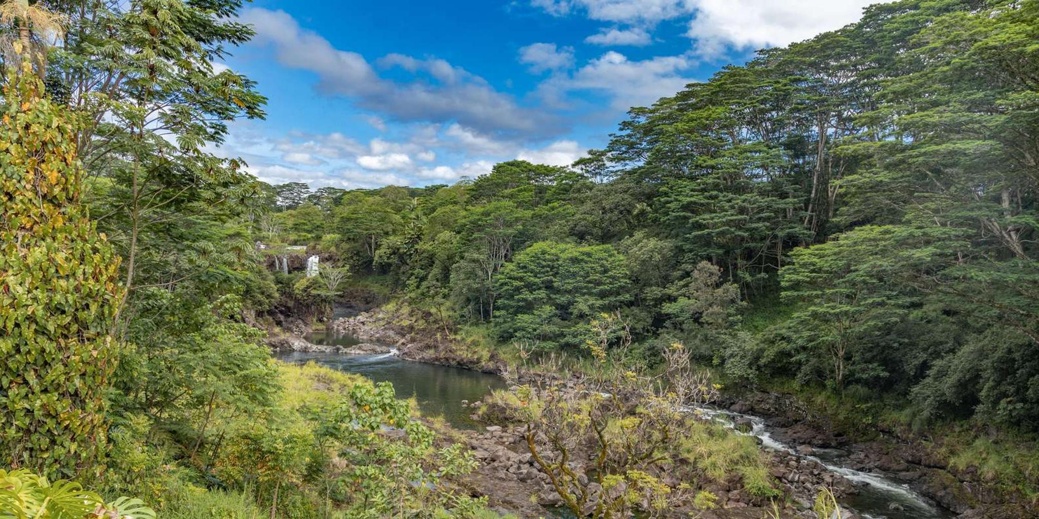 Hilo Botanical Gardens and Waterfalls Tour - Image 6
