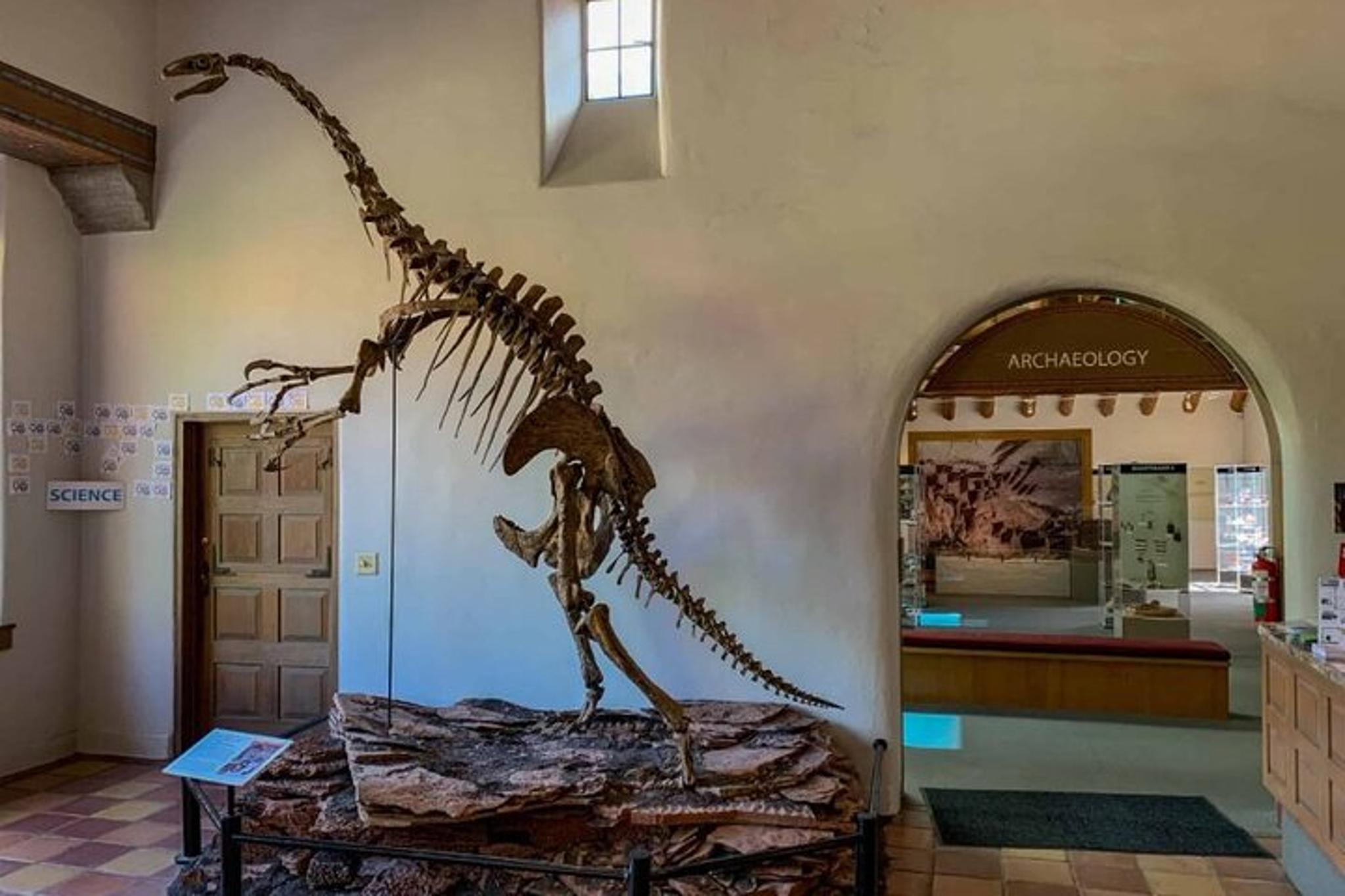 Phoenix Wupatki and Sunset Crater Tour - Image 6